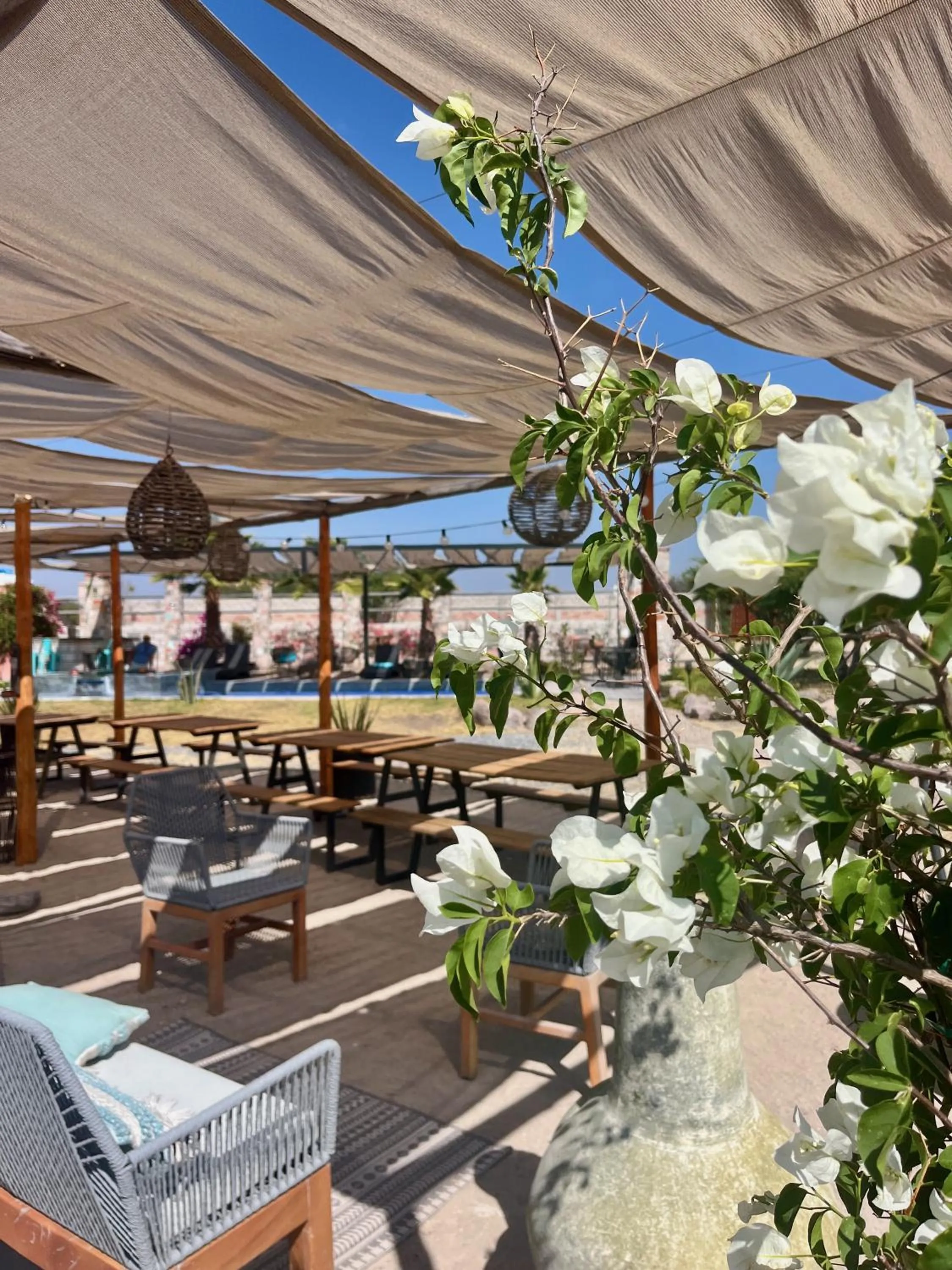 Casa Pavo Real en el Viñedo El Pavo Real del Campo