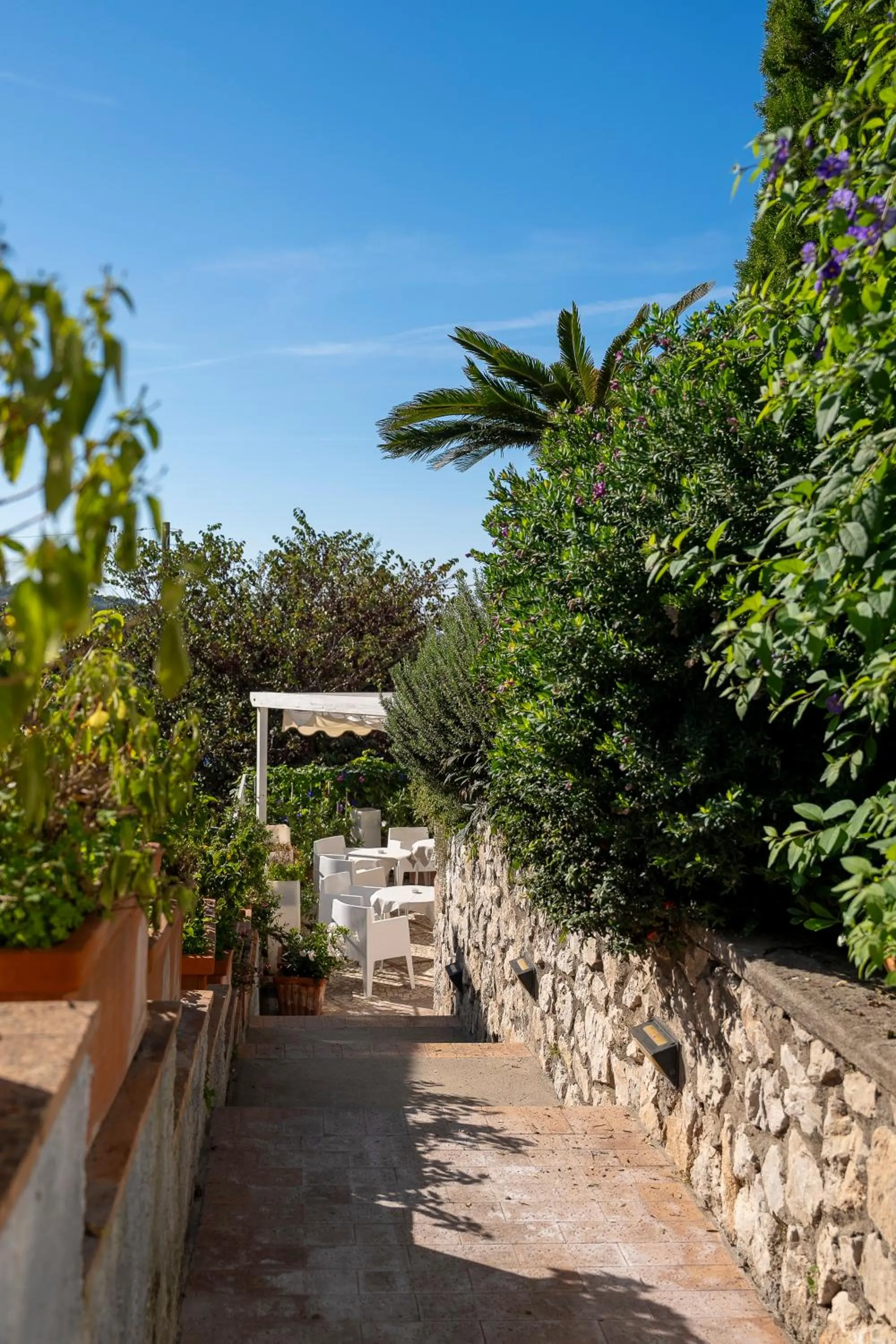 Facade/entrance in Hotel Senaria