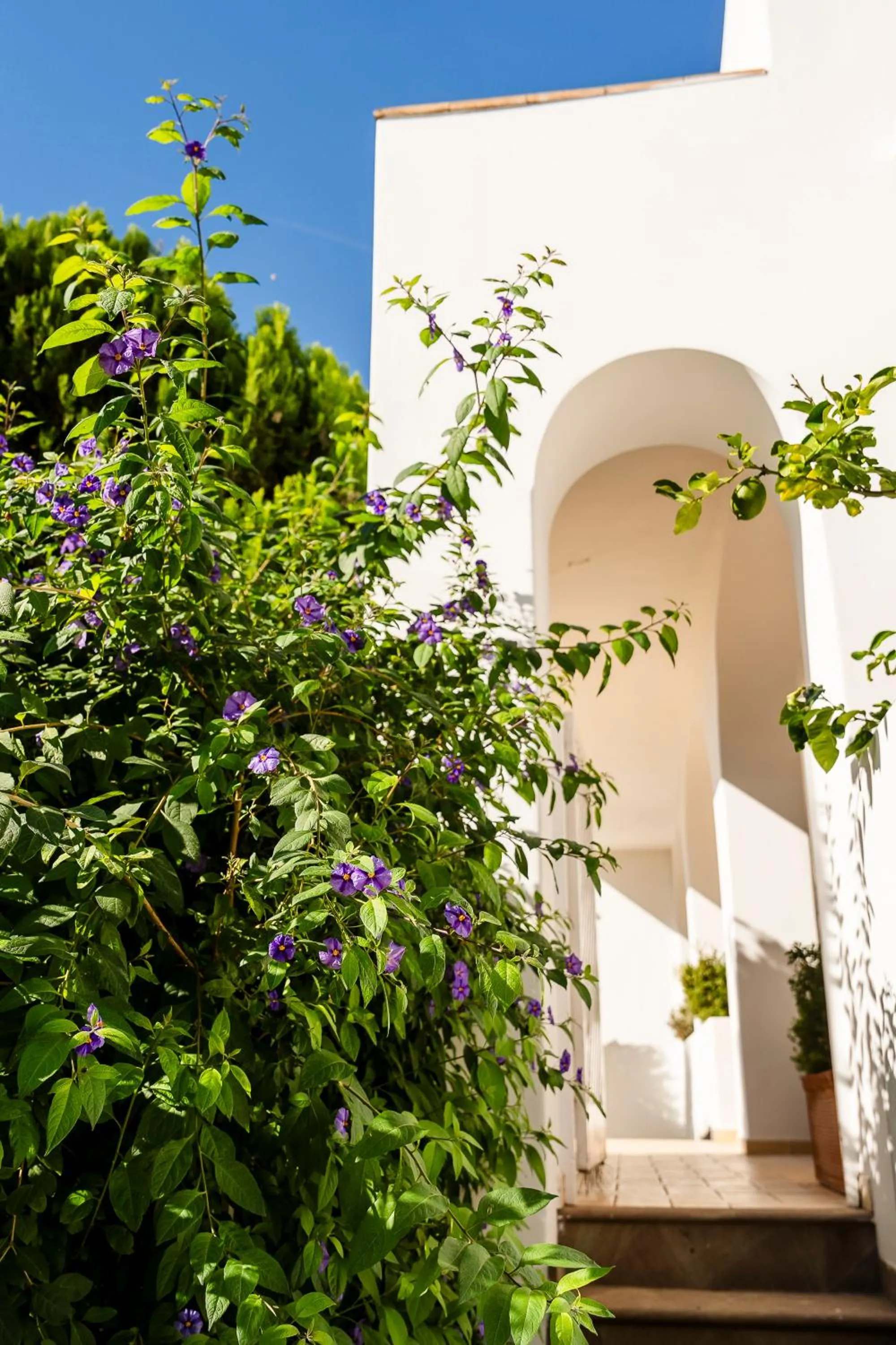 Property building in Hotel Senaria