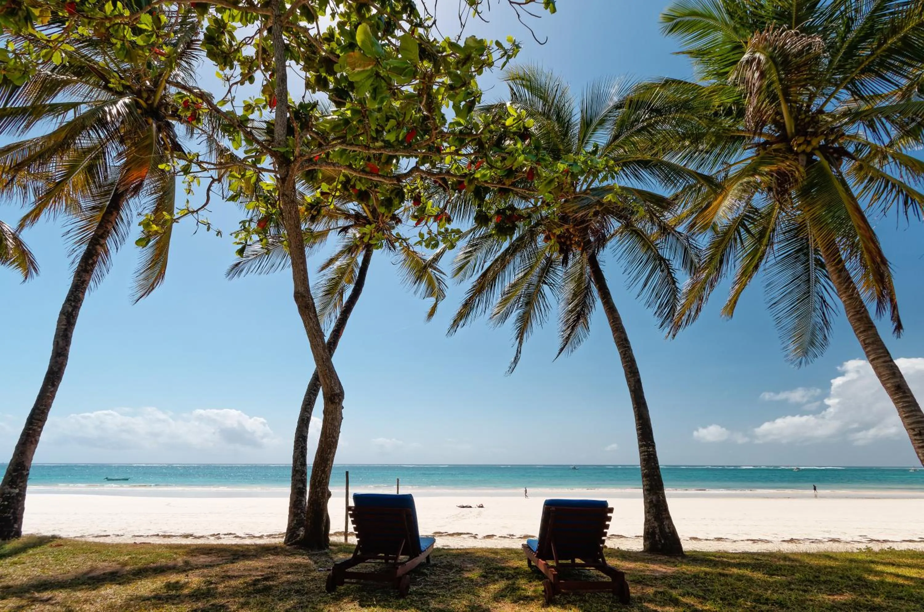 Natural landscape in Safari Beach Hotel