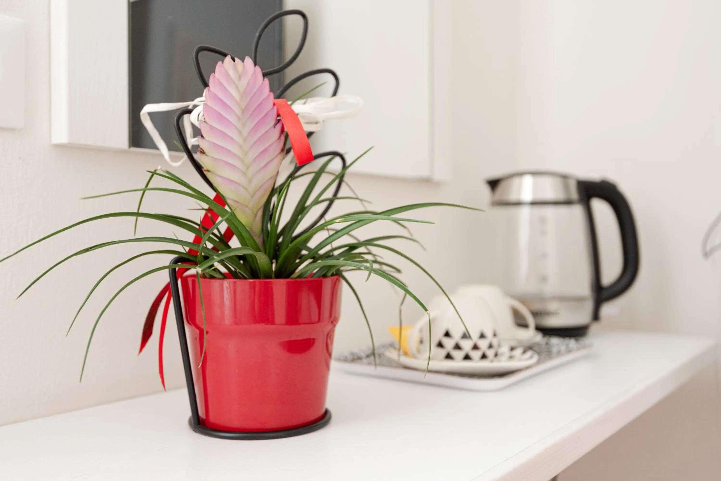 Coffee/tea facilities in Florence Comfort B&B