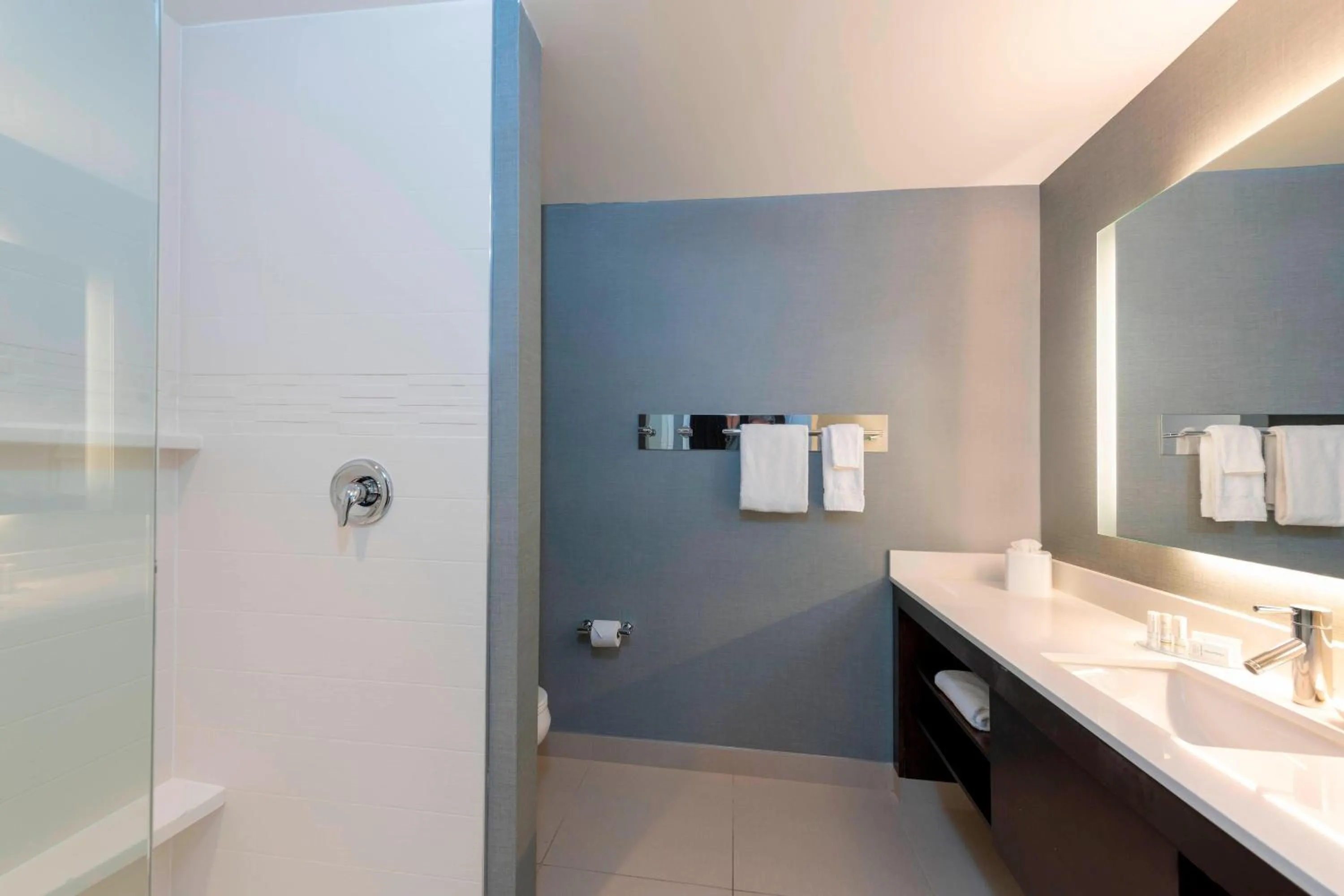 Bathroom in Residence Inn by Marriott Akron South/Green