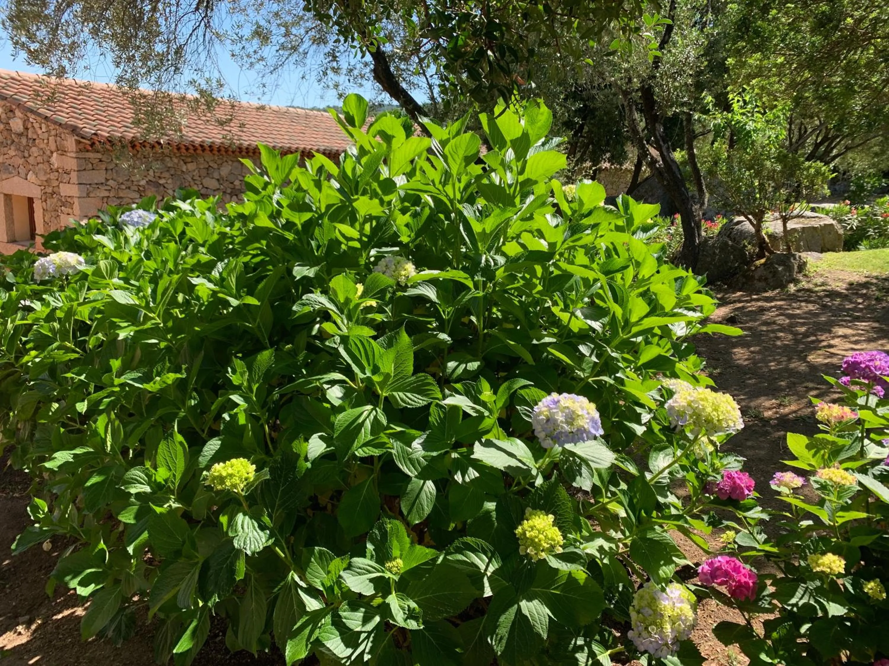 Garden in Hotel Valkarana Country Relais