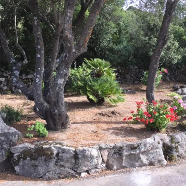 Natural landscape in Hotel Valkarana Country Relais