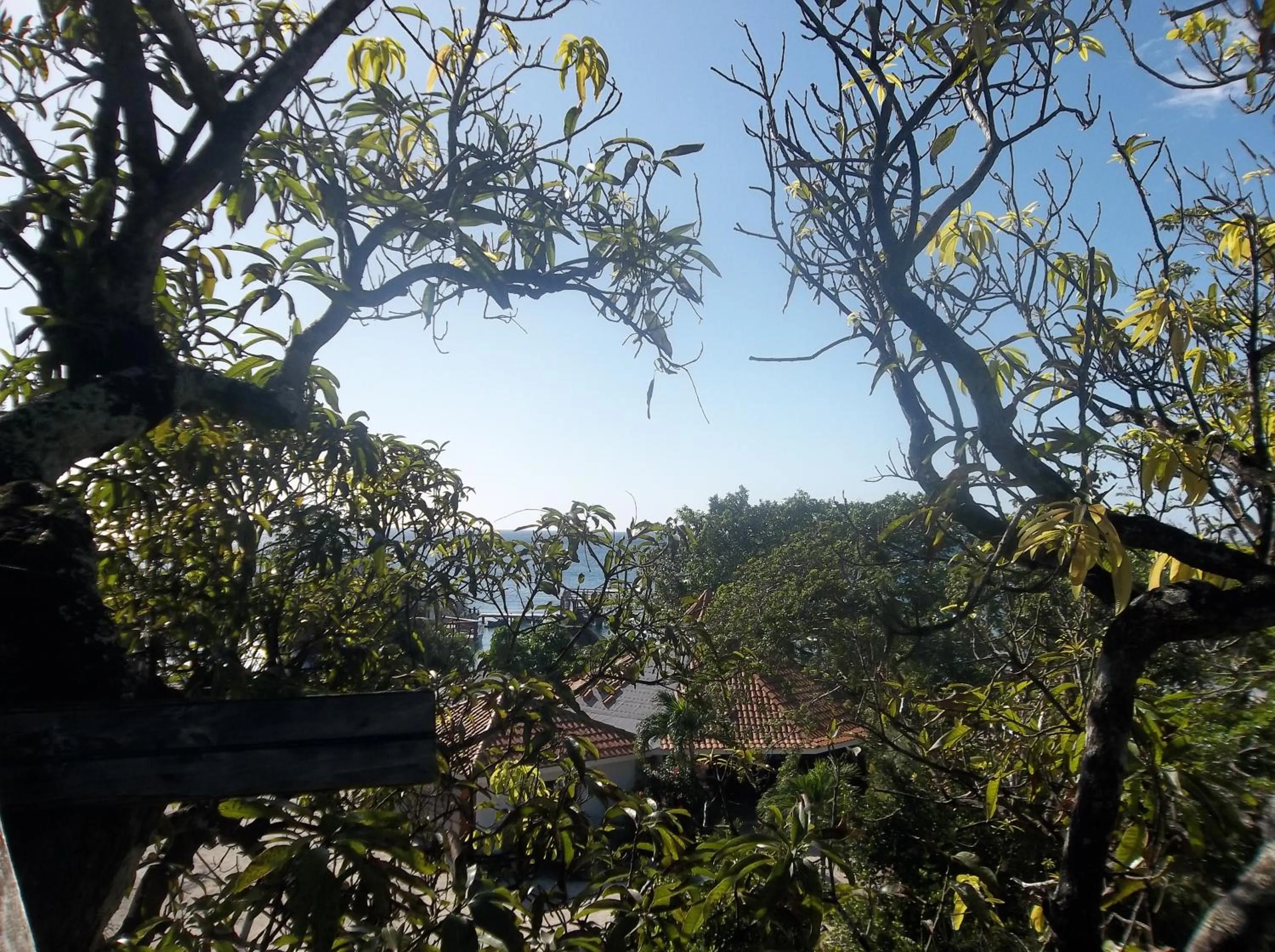 View (from property/room) in Fosters West Bay Resort