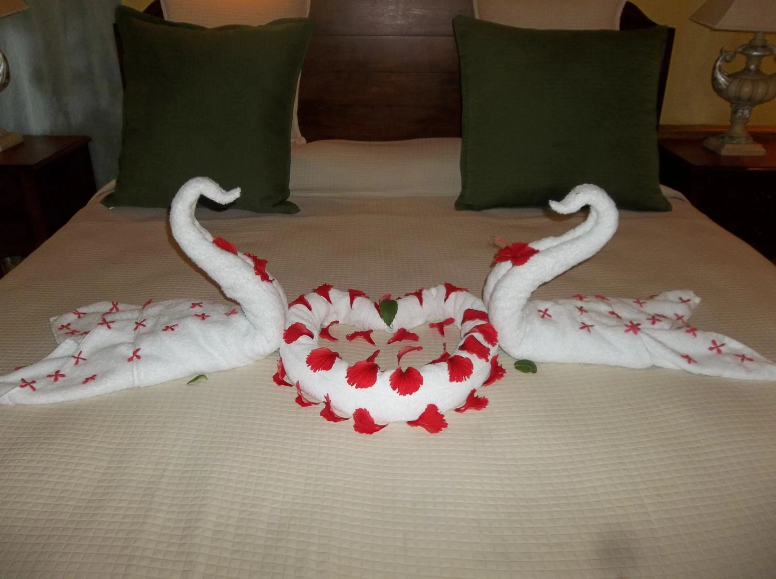 Bed in Fosters West Bay Resort