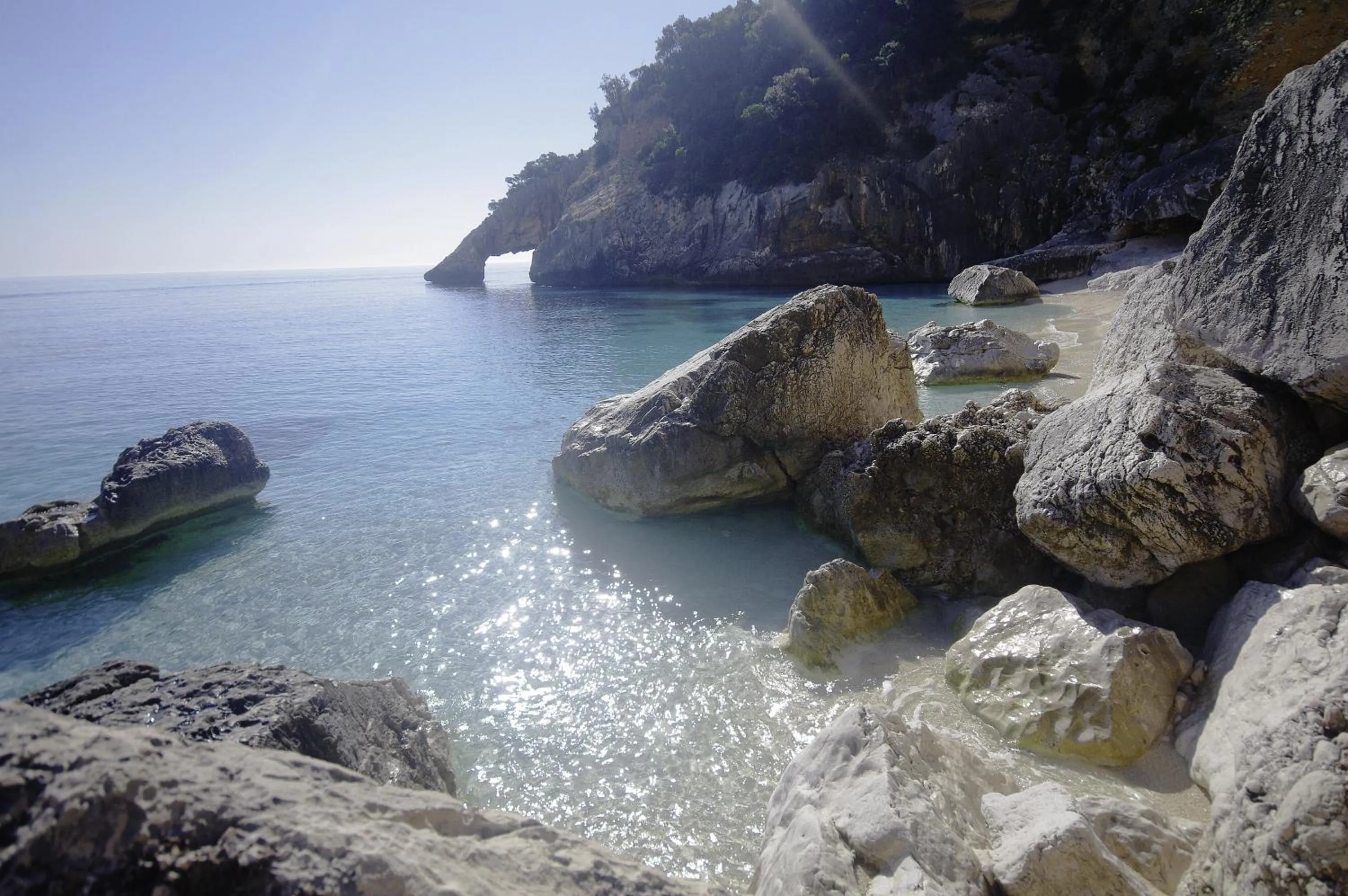 Other in Hotel la Torre