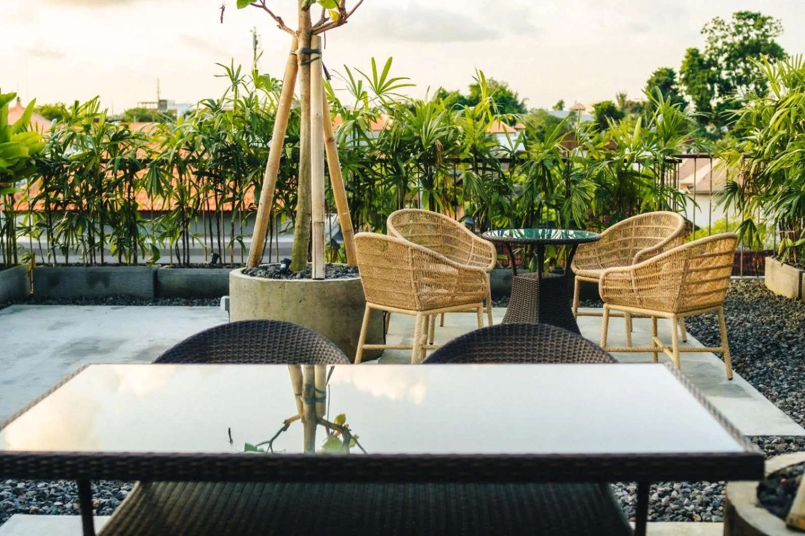 Garden in Tanaga CoLiving