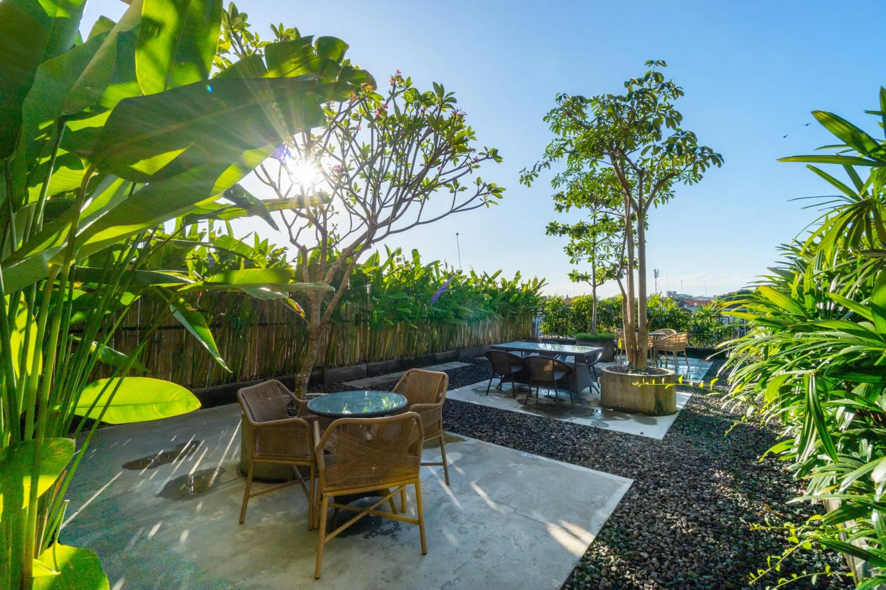 Garden in Tanaga CoLiving