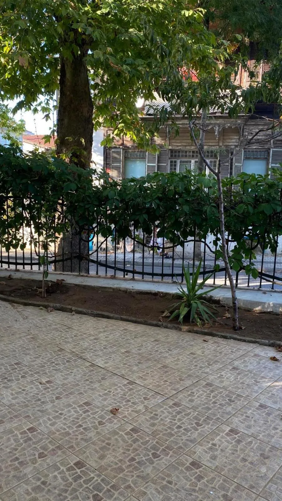 Street view in No16 Ada