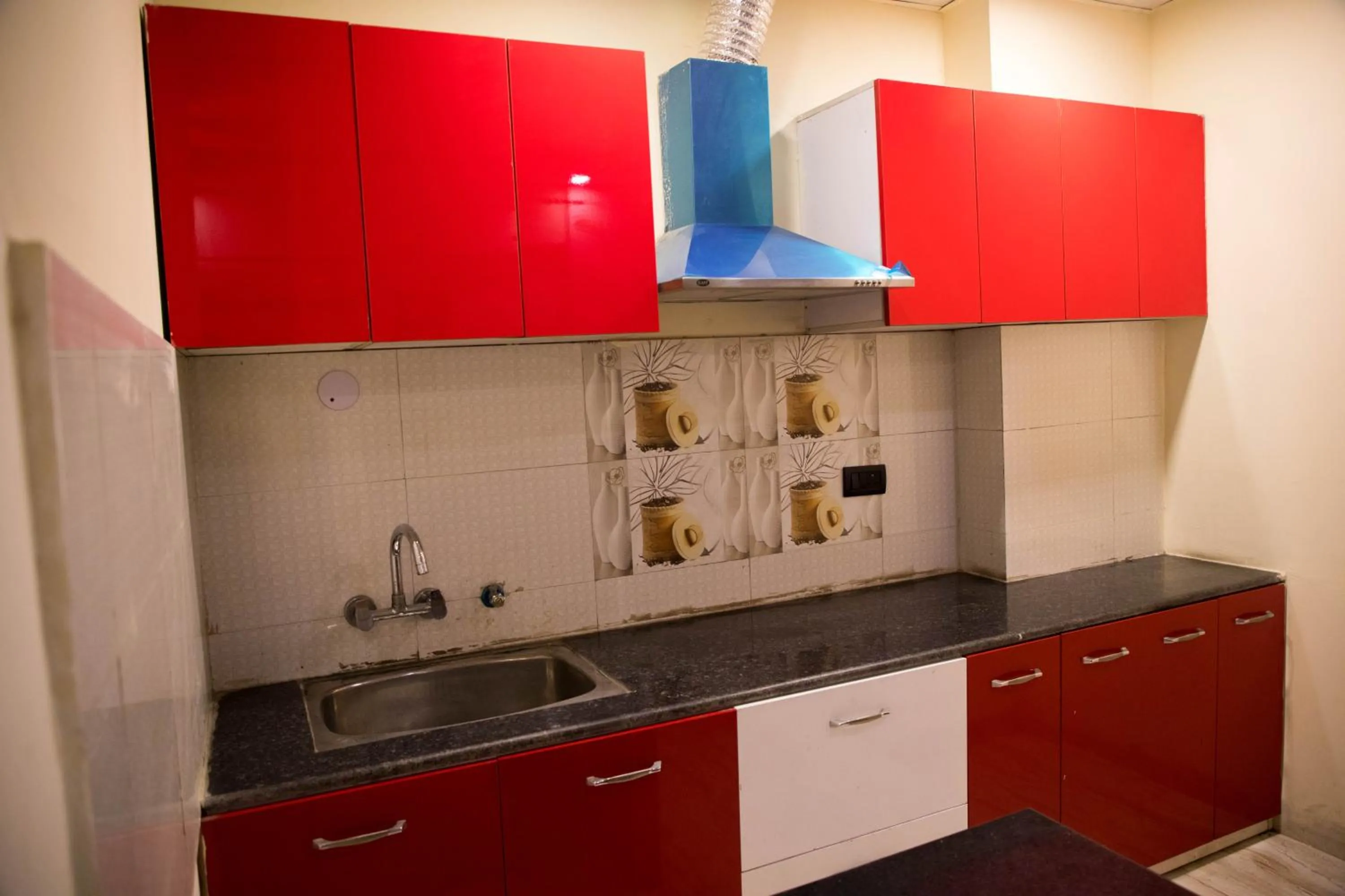 Kitchen or kitchenette in Hotel Haveli Palace