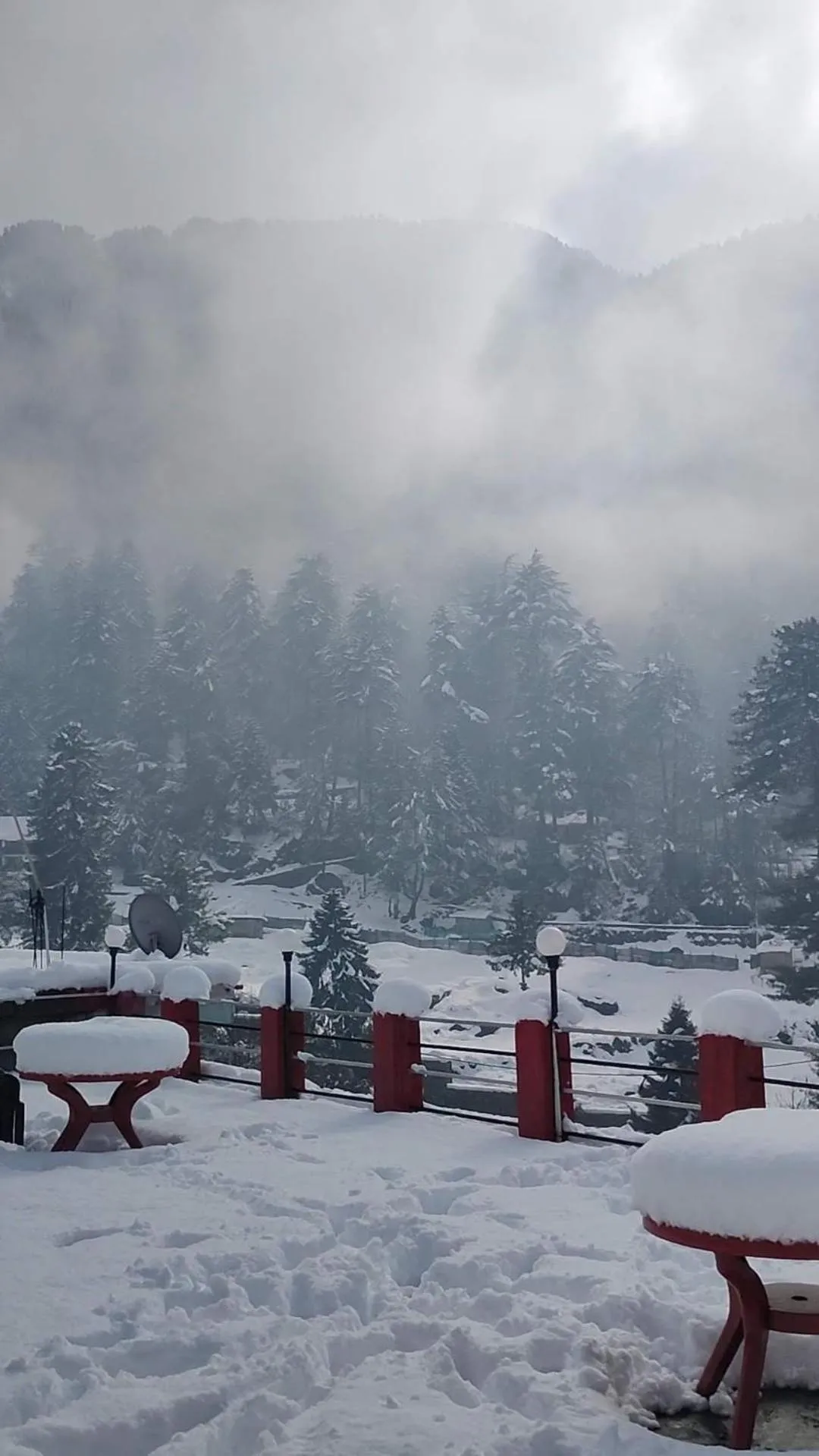 Garden in indian backpackers hostel