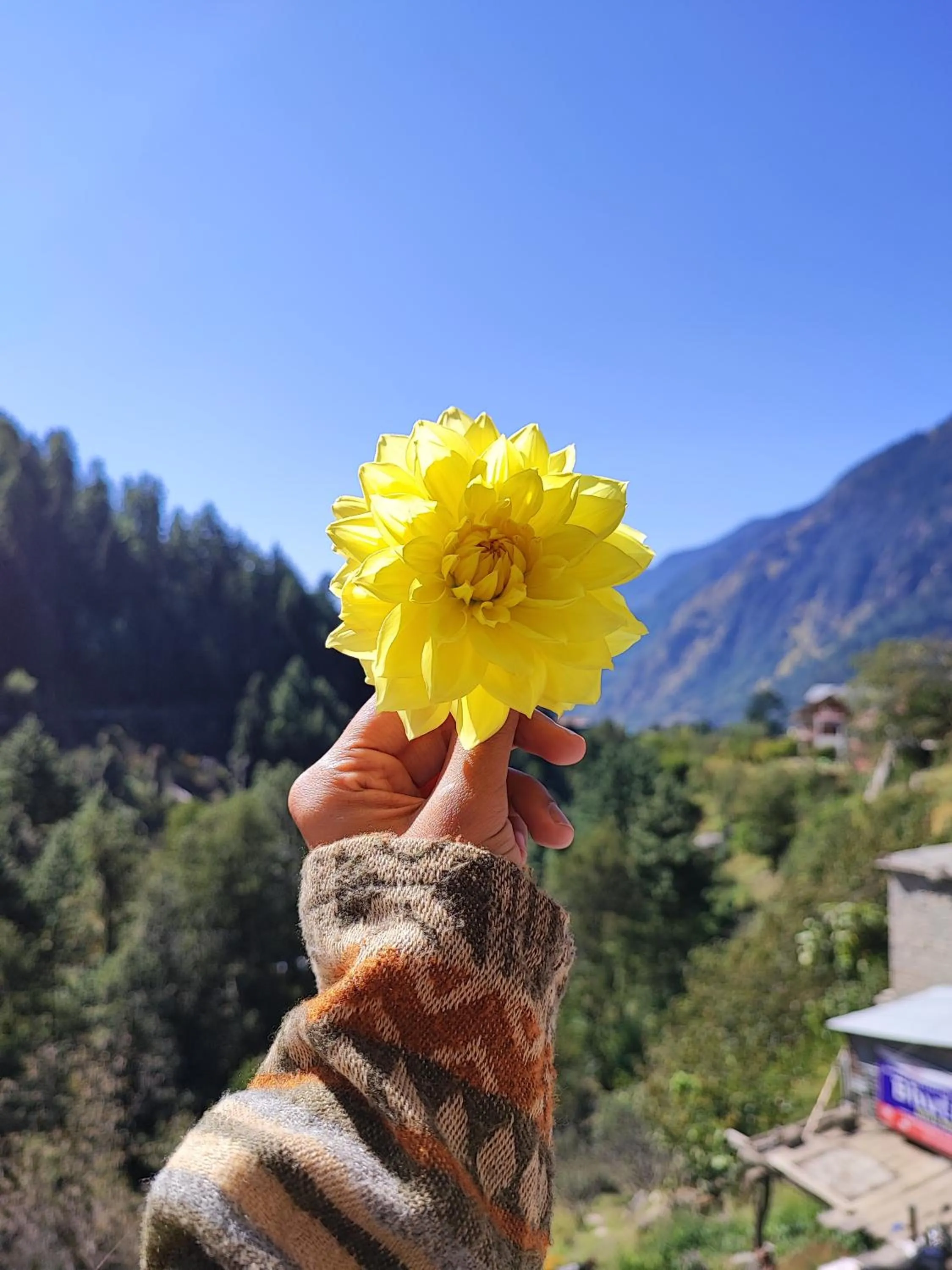 Spring in indian backpackers hostel