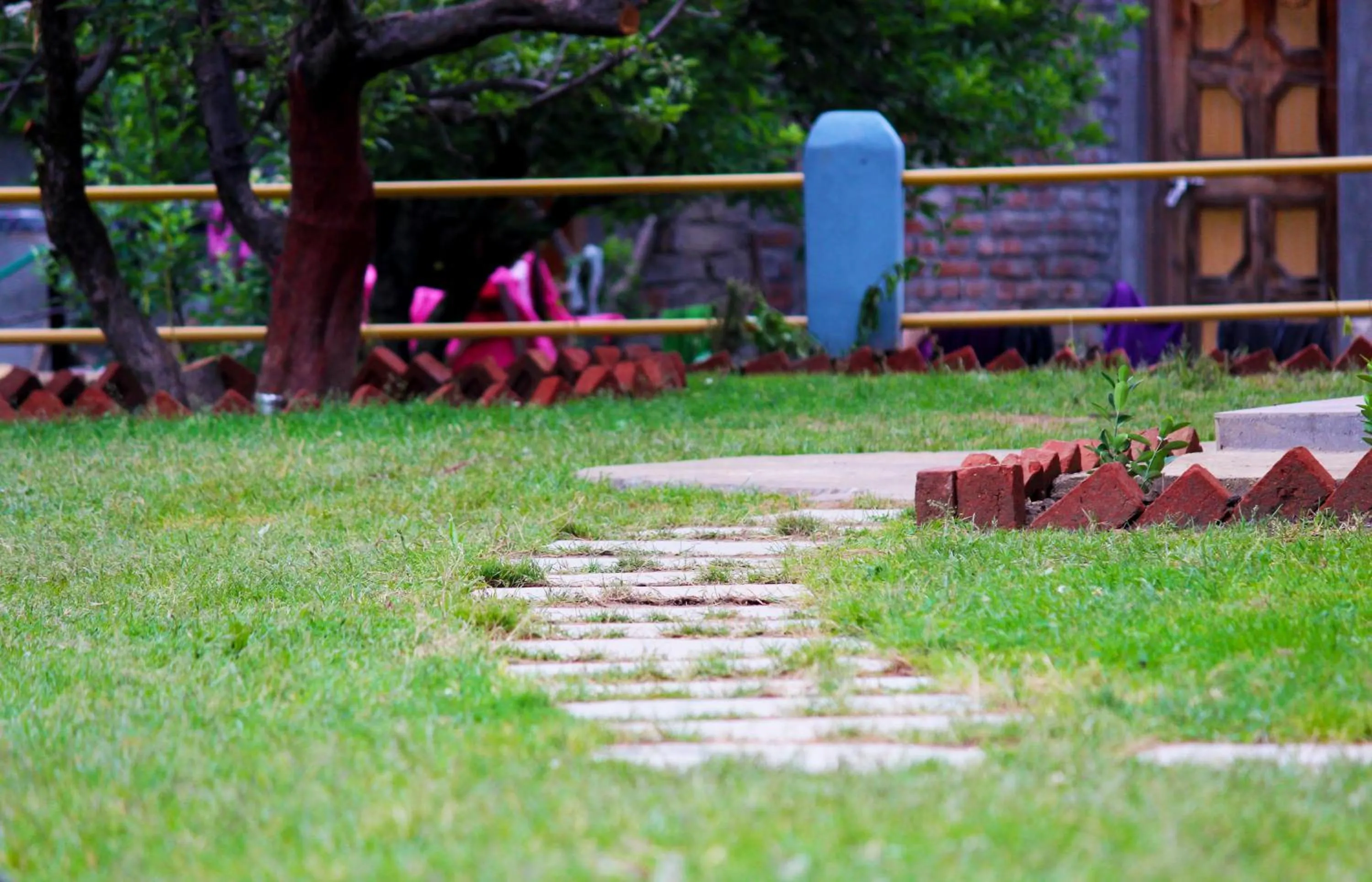 Garden in indian backpackers hostel