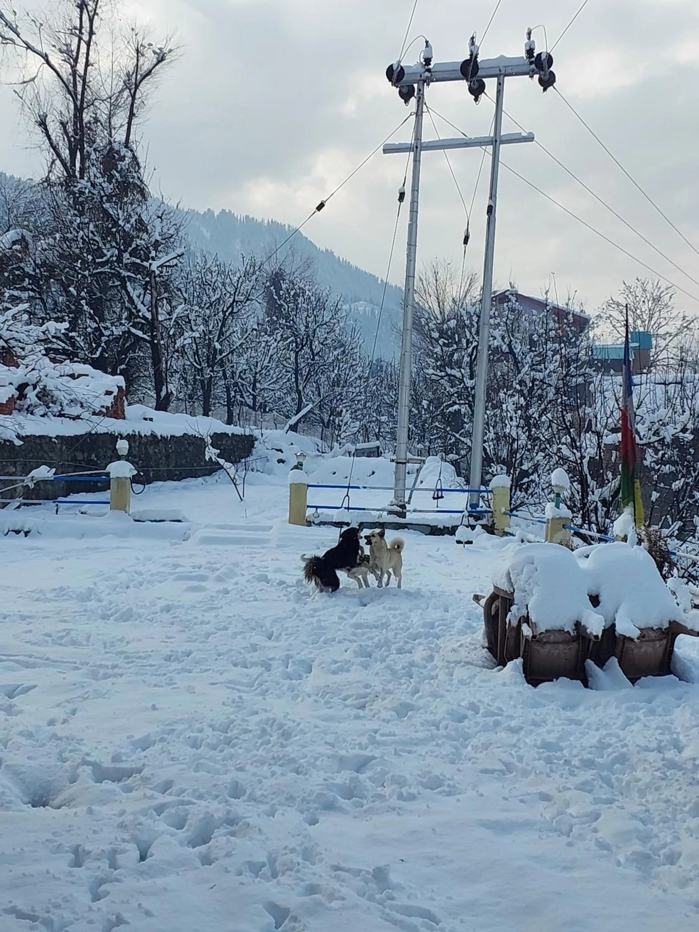 Property building in indian backpackers hostel