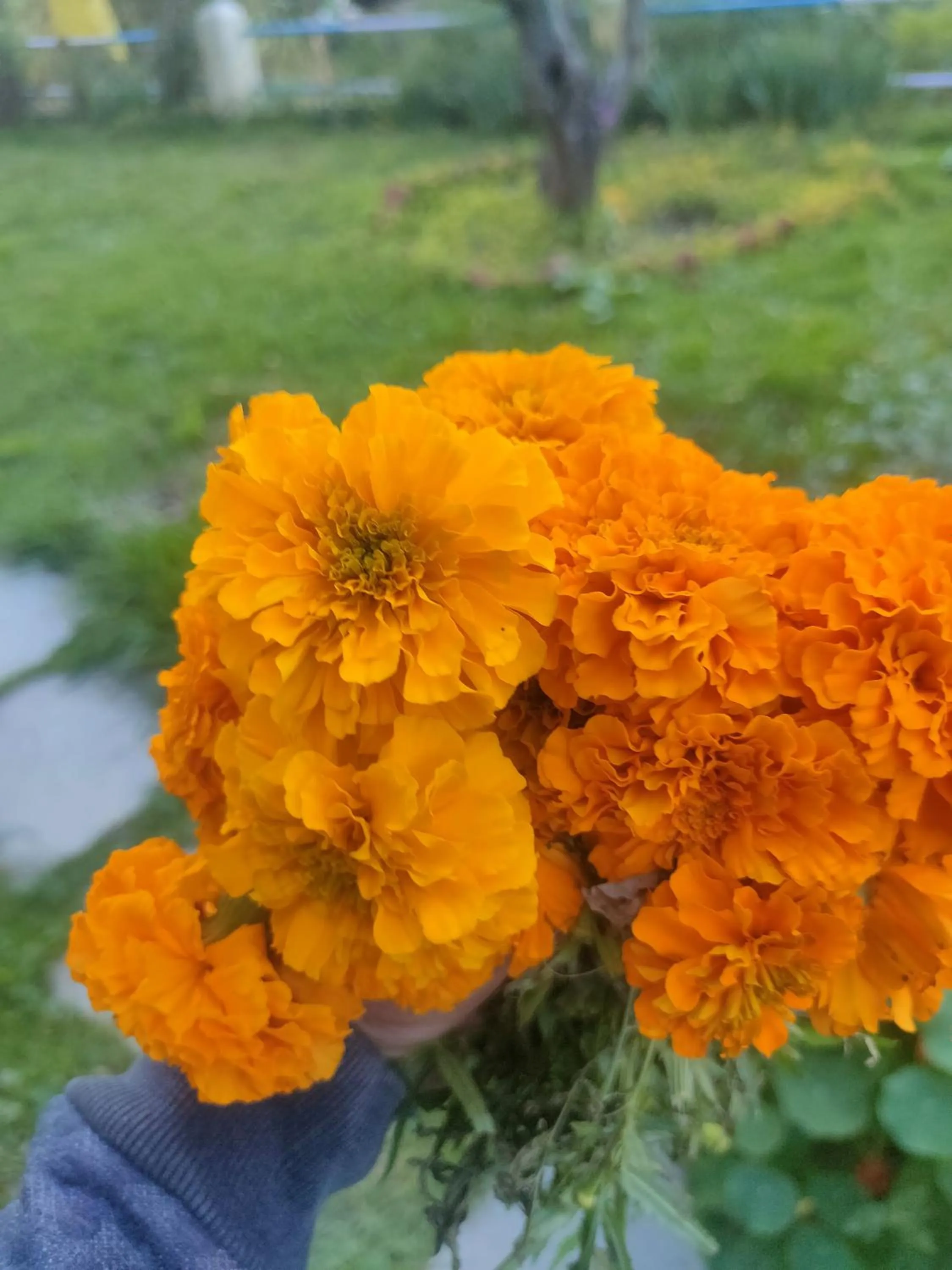 Spring in indian backpackers hostel