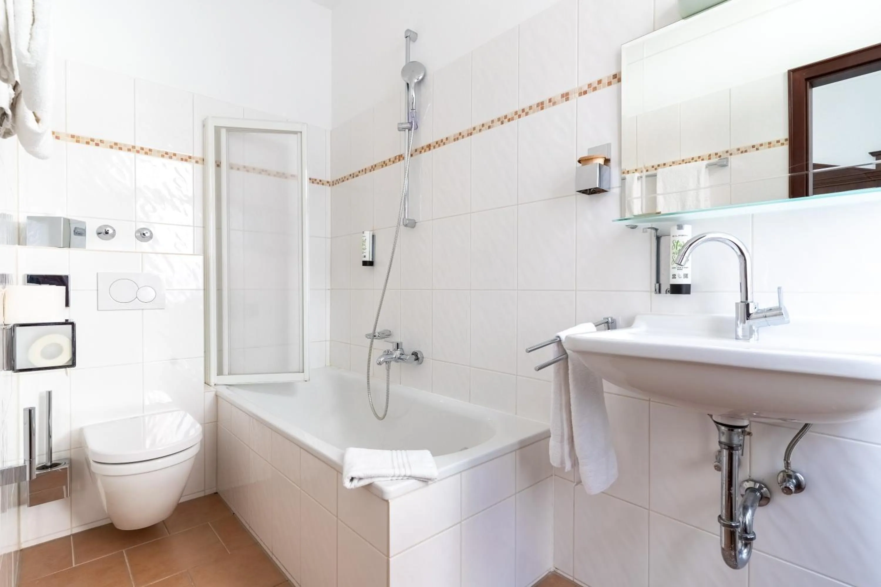 Toilet in Hotel zum Ritter