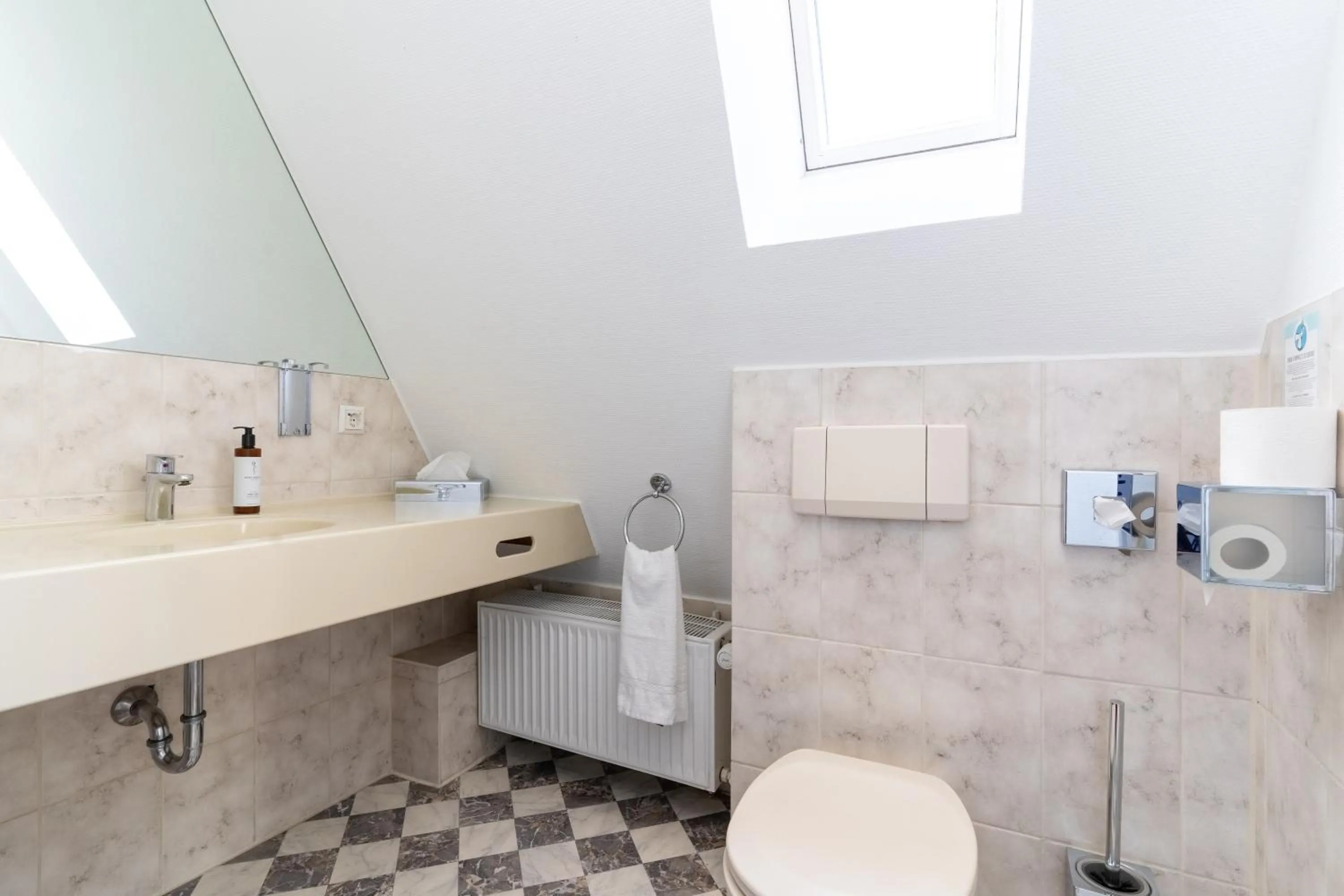 Toilet in Hotel zum Ritter