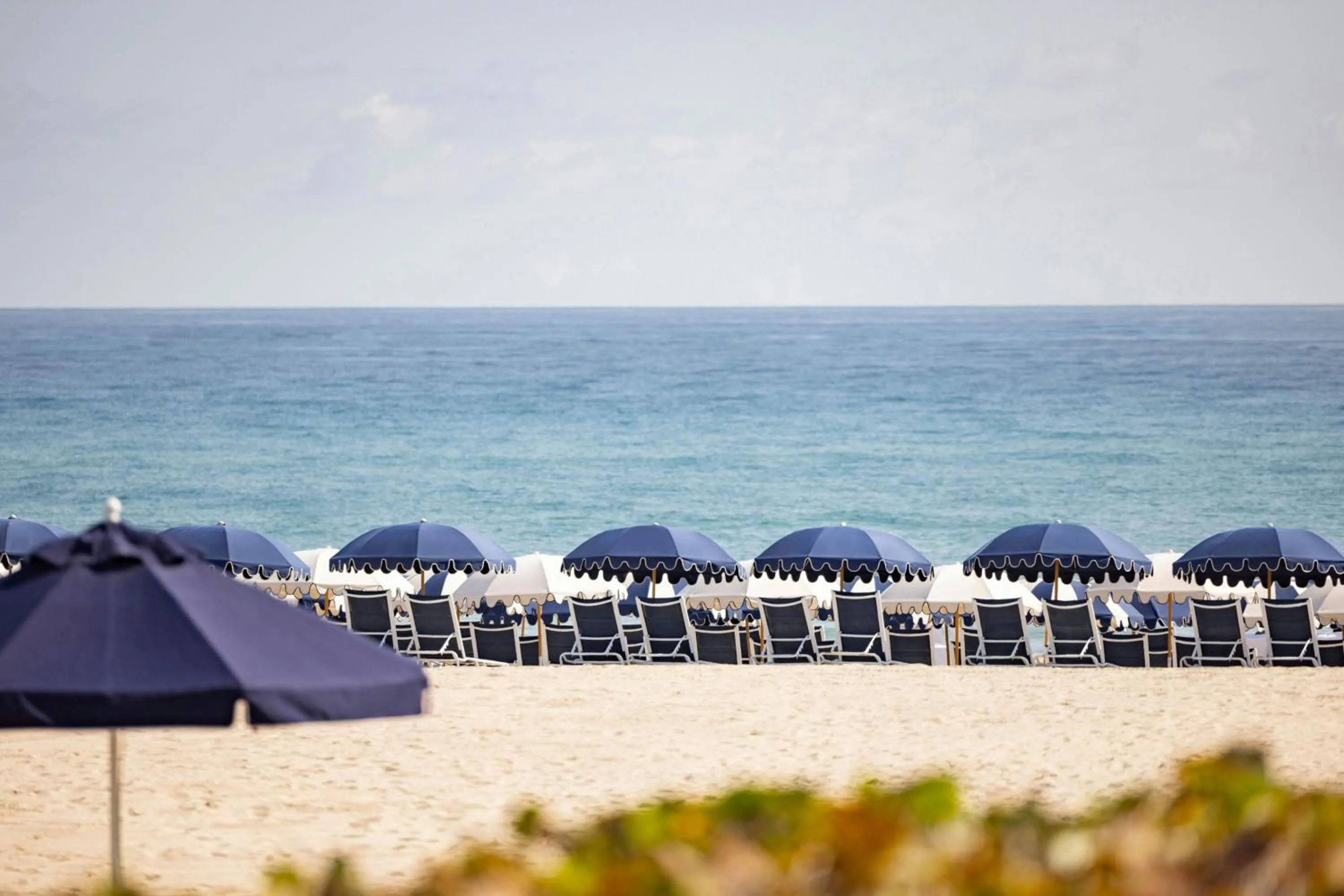 Beach in The Seagate Hotel, Golf & Beach Club, Autograph Collection
