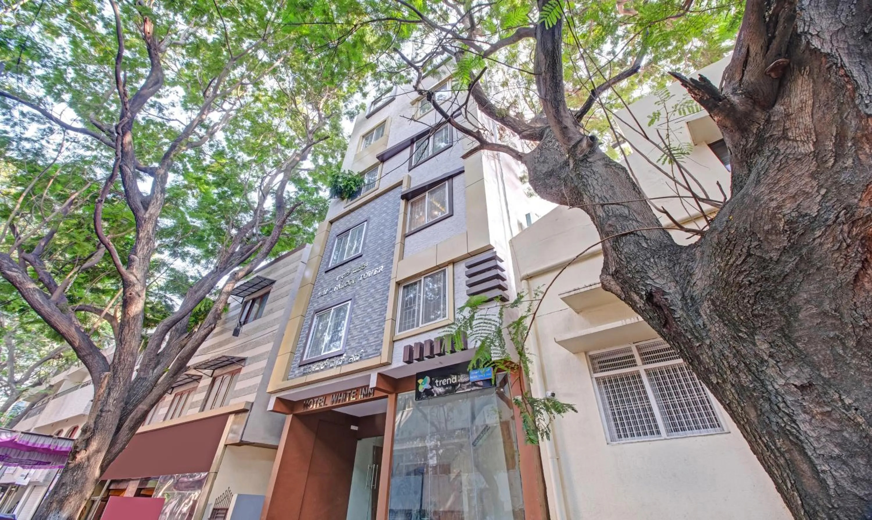 Property building in Treebo White Inn