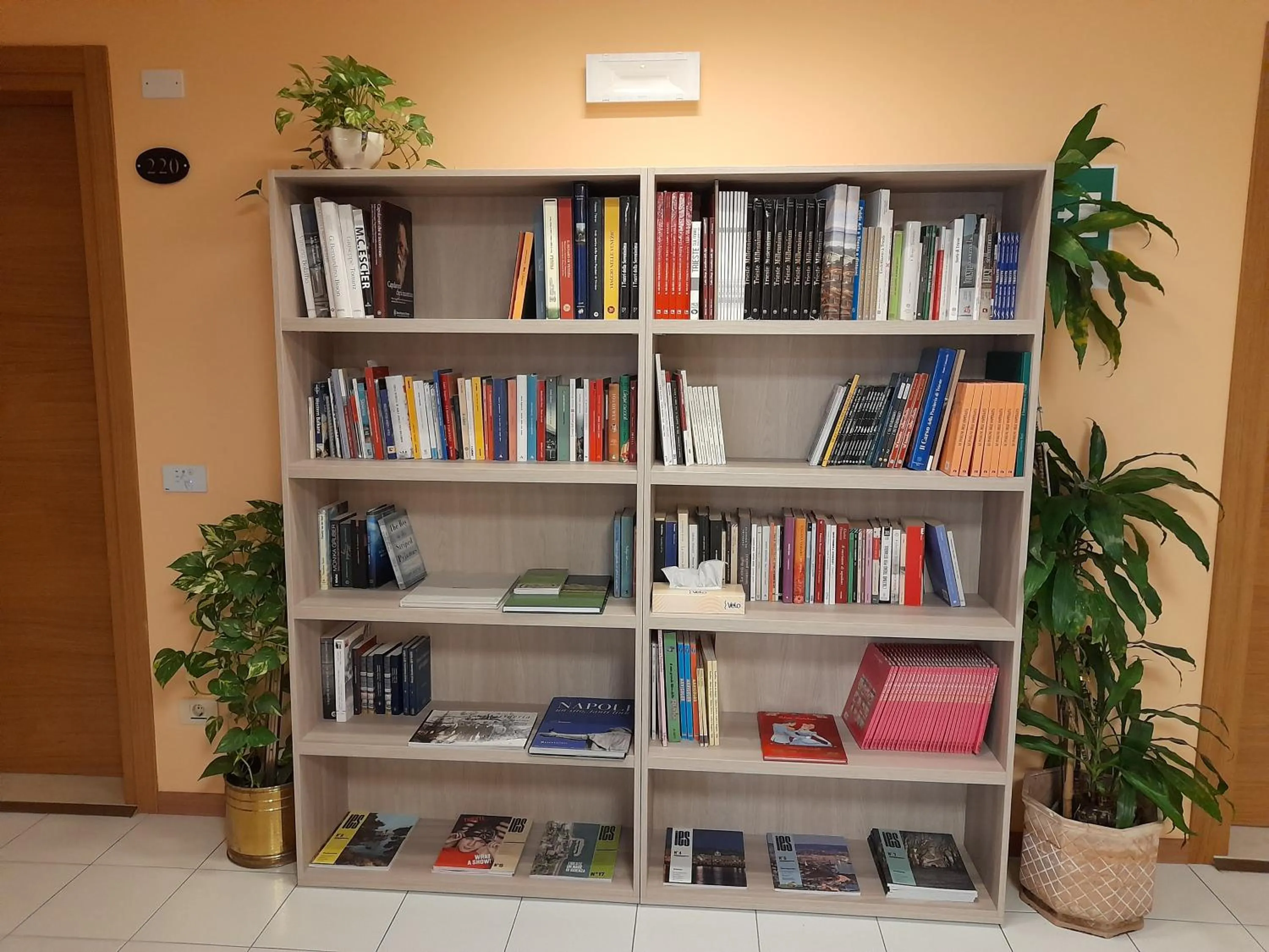 Library in Hotel Italia