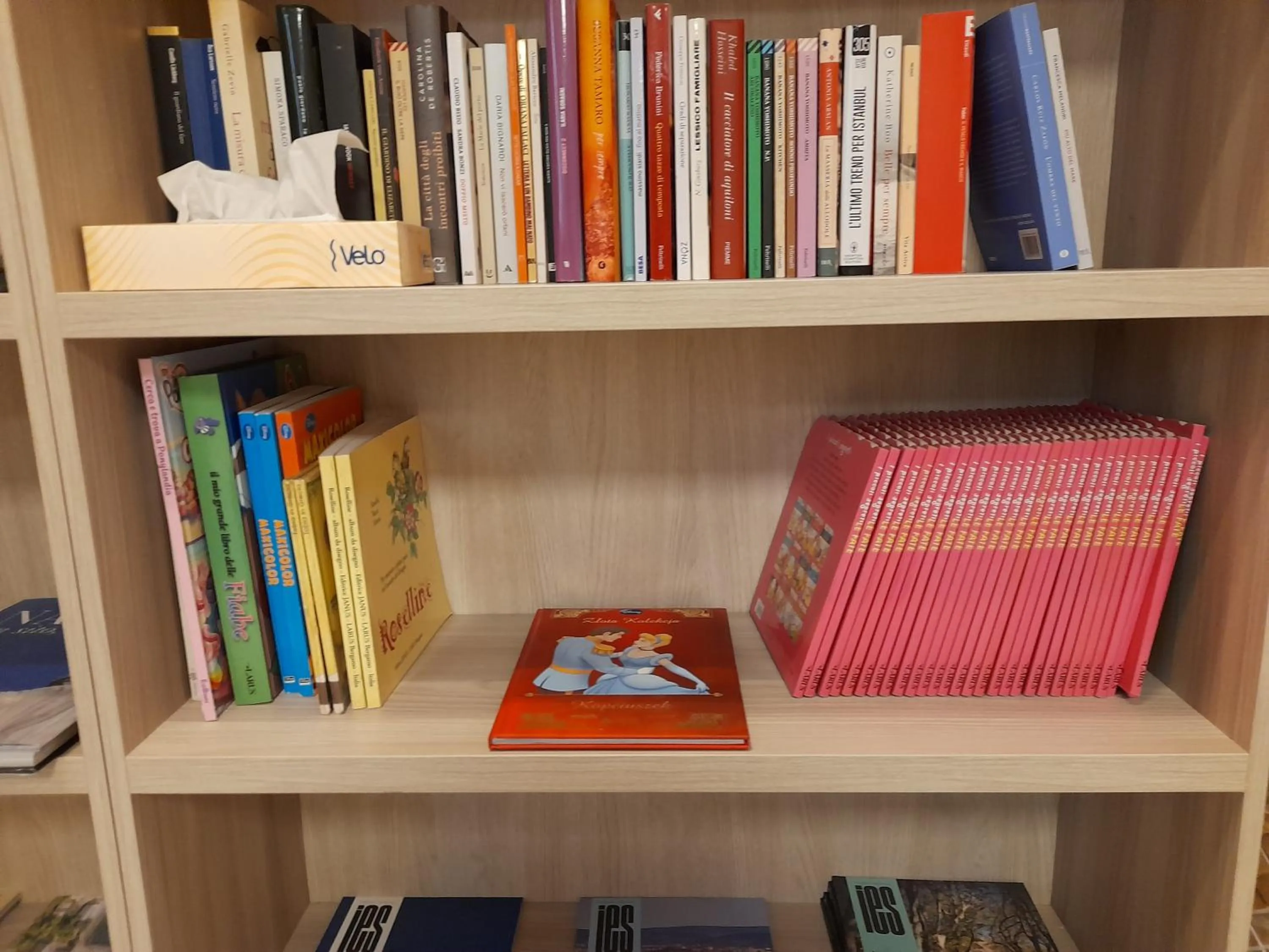 Library in Hotel Italia