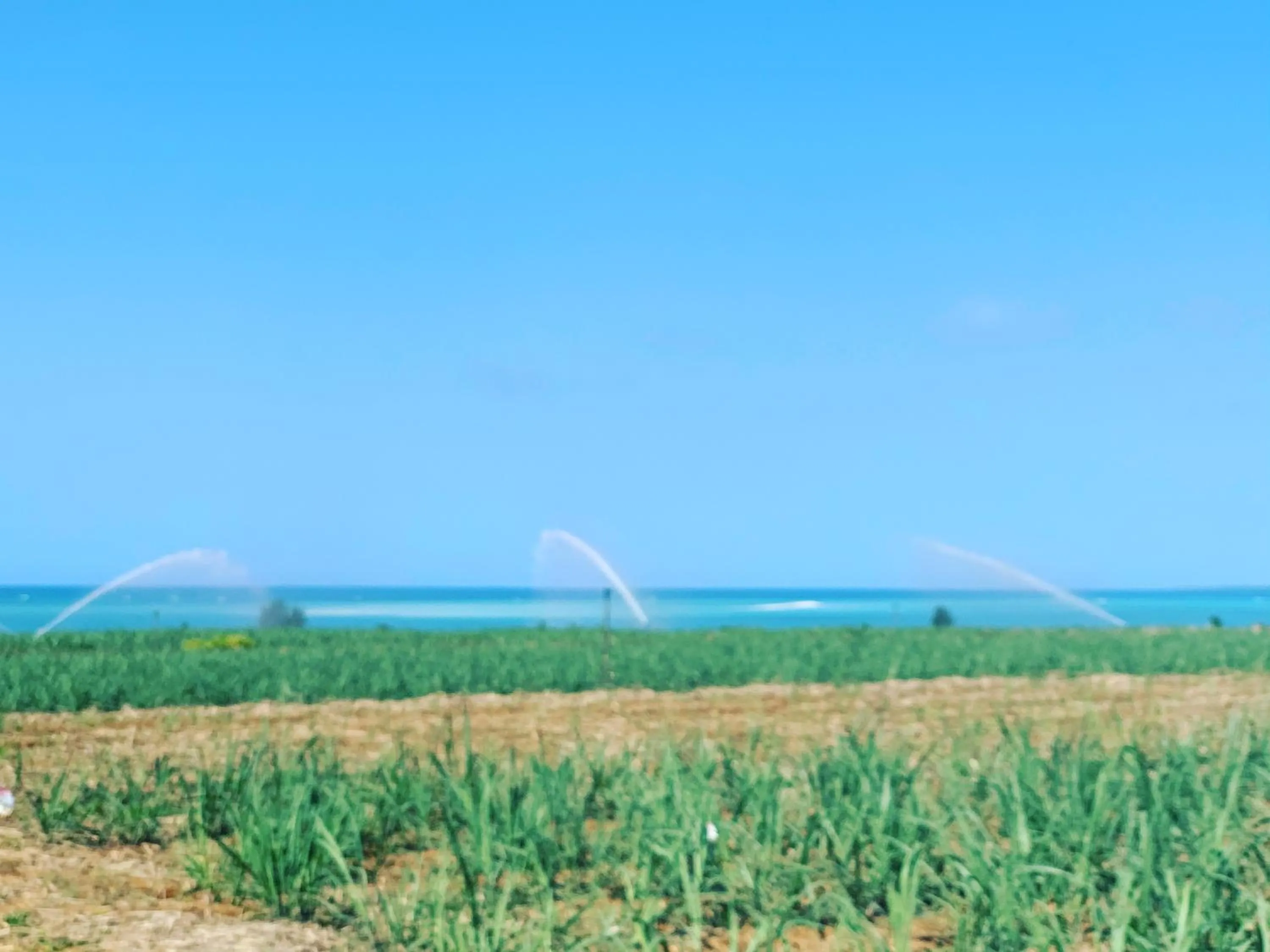 Natural landscape in WhiteShisa