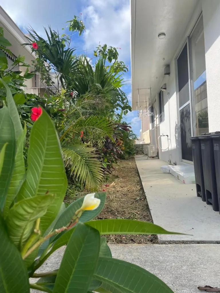 Garden in WhiteShisa