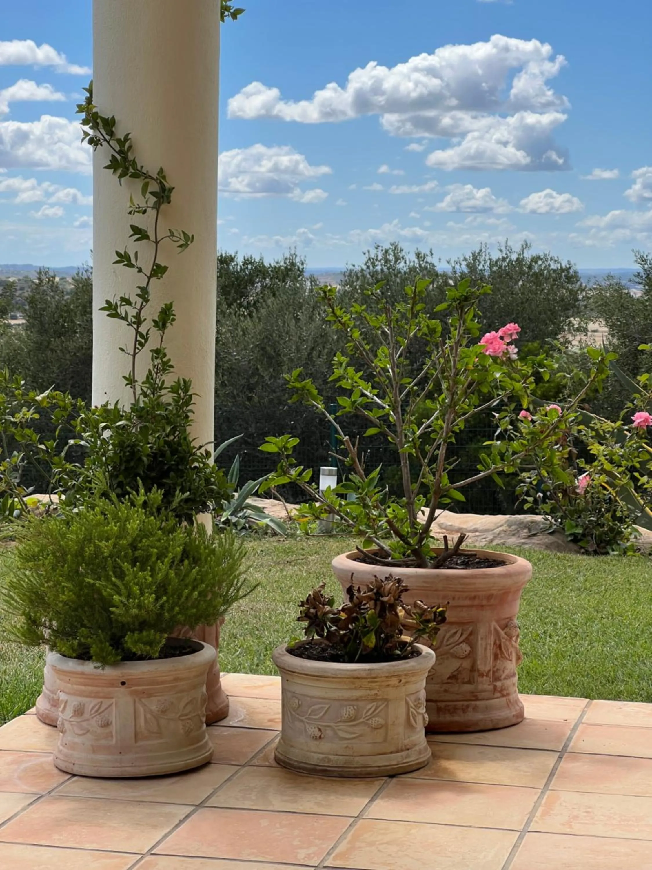 Inner courtyard view in Villa Tranberg Suites