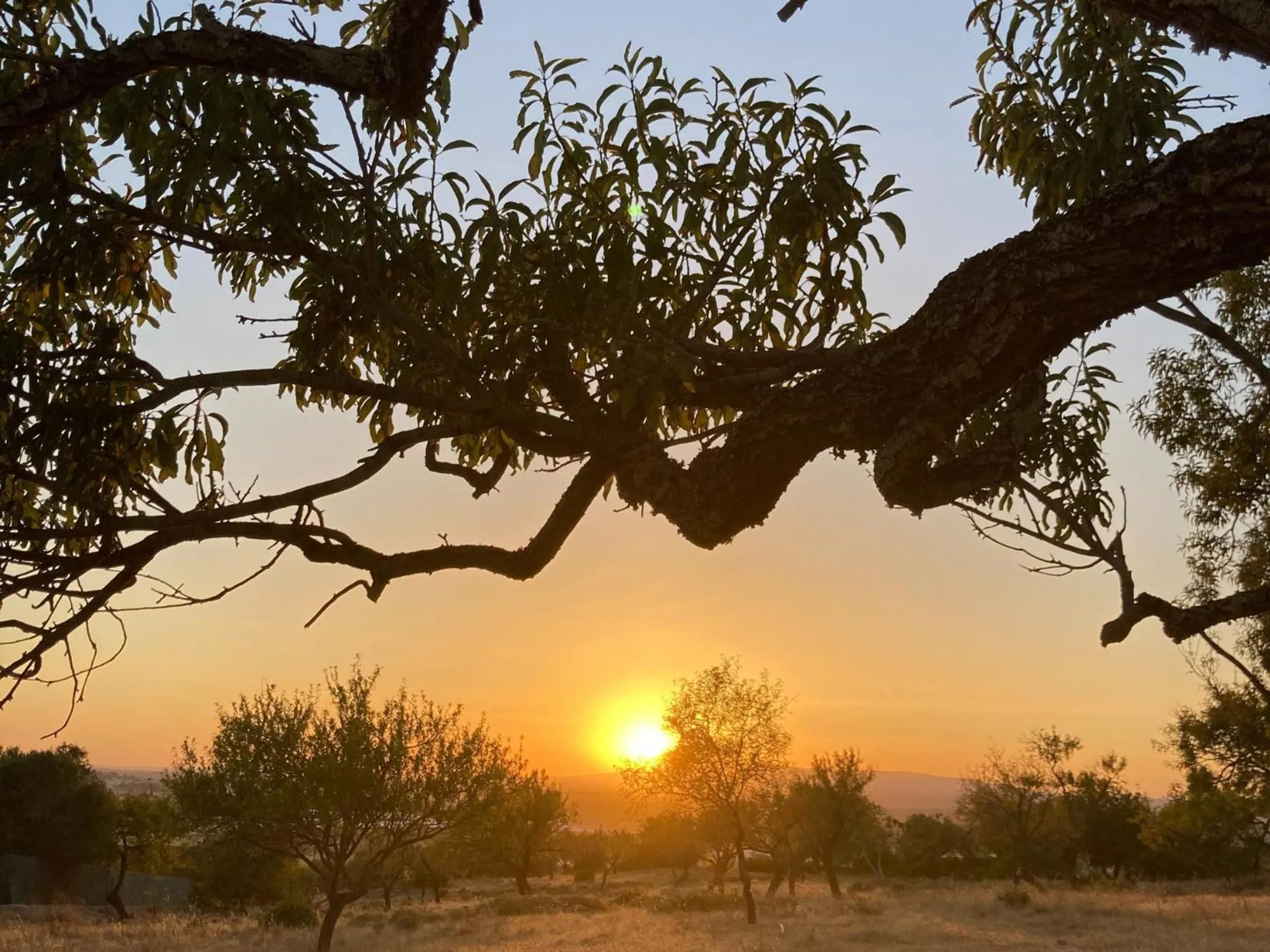 Sunset in Villa Tranberg Suites