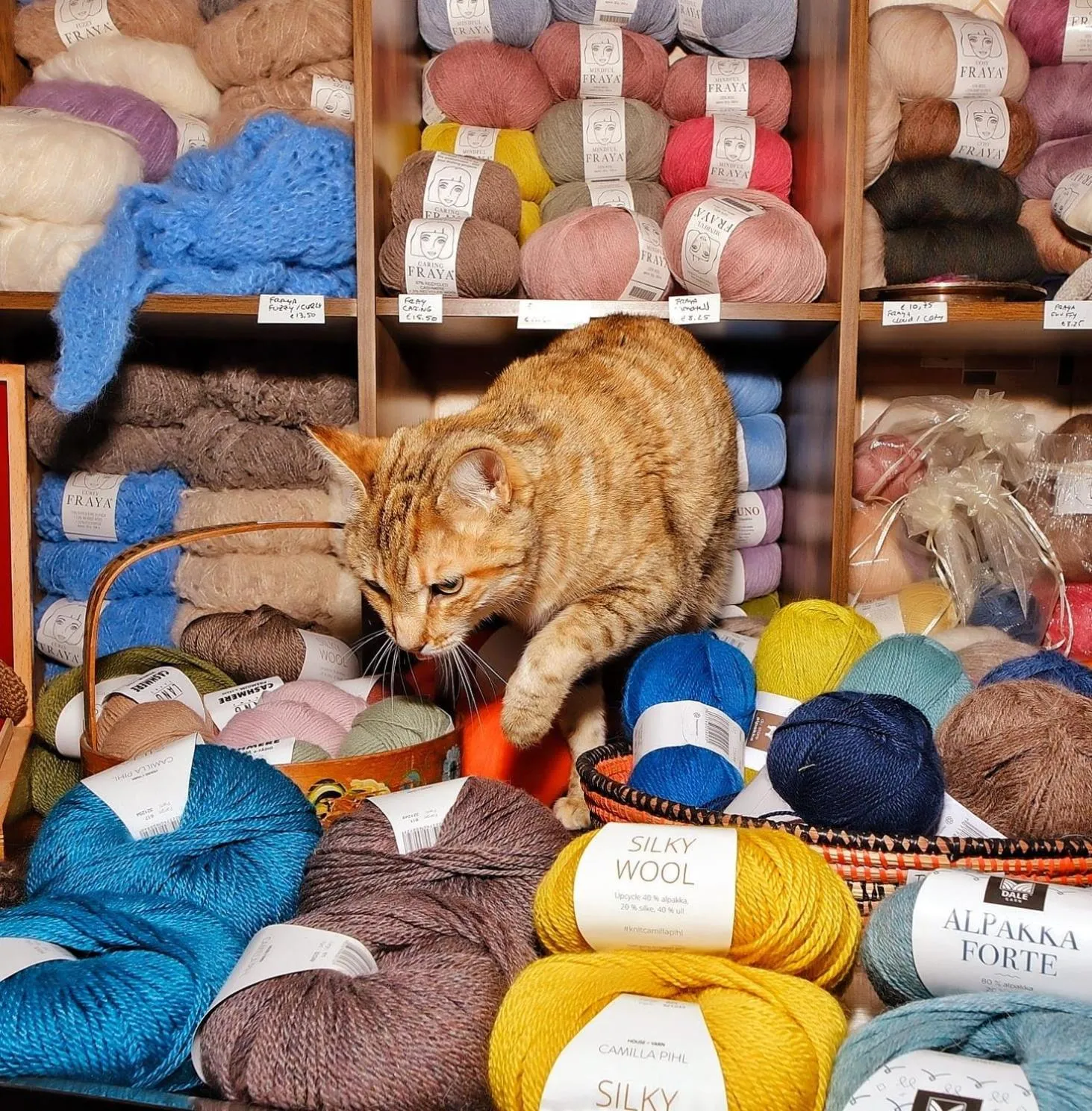 Activities in Villa Tranberg Suites