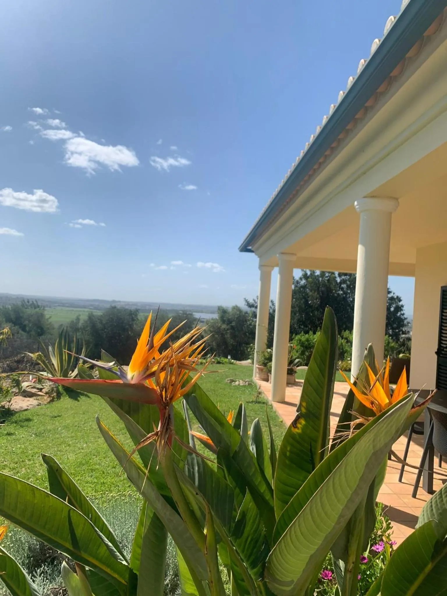 Inner courtyard view in Villa Tranberg Suites
