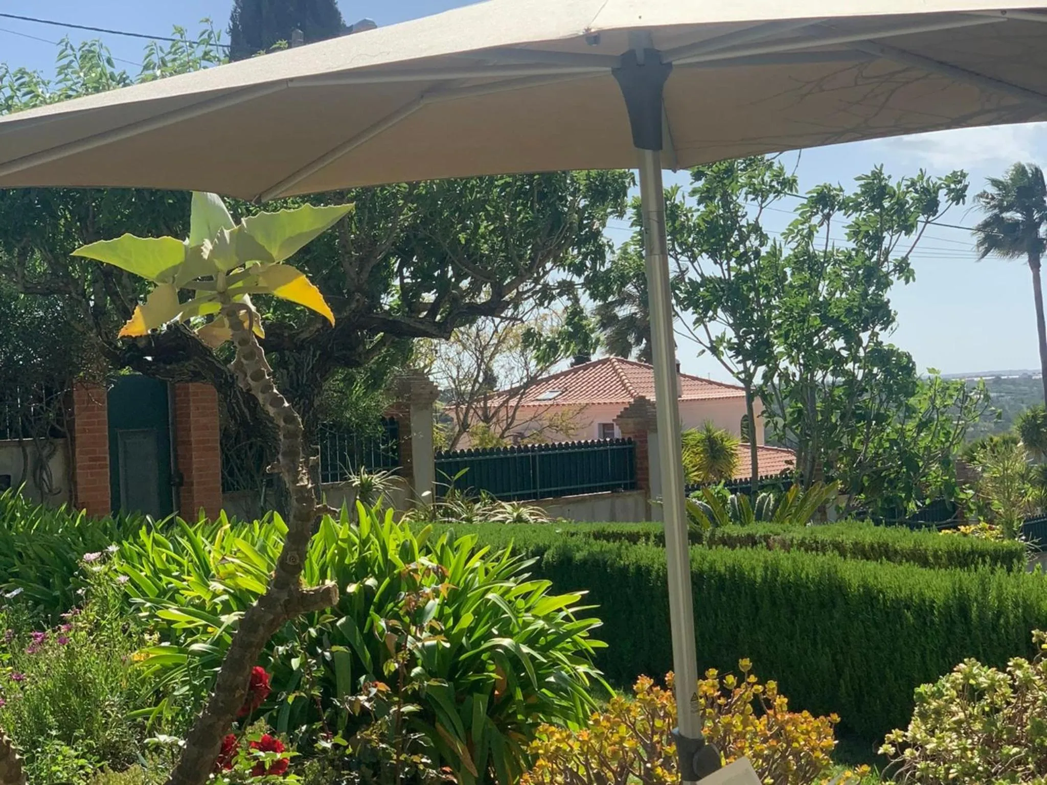 Garden in Villa Tranberg Suites