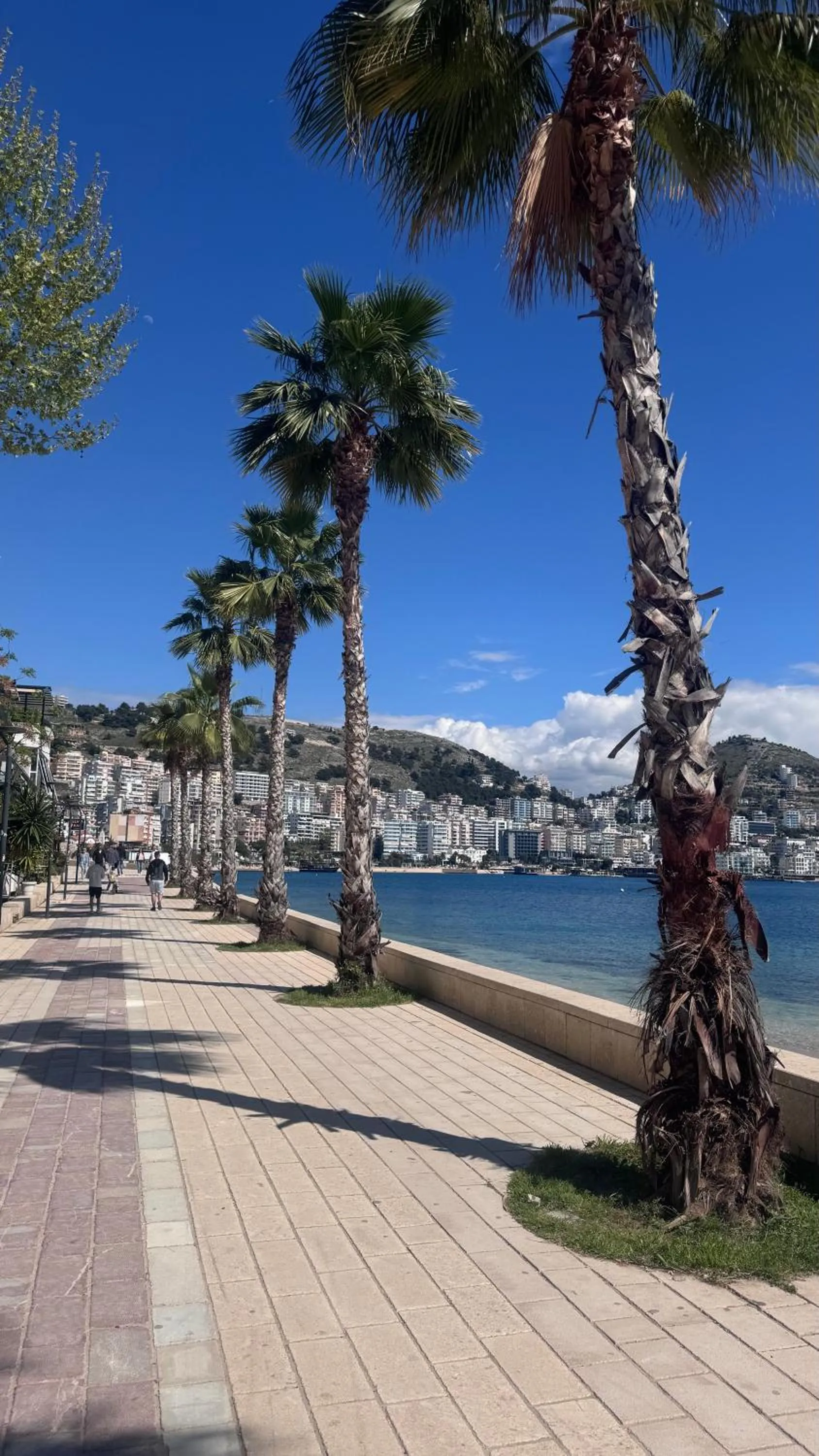 Neighbourhood in ALYACHT Premium Hotel