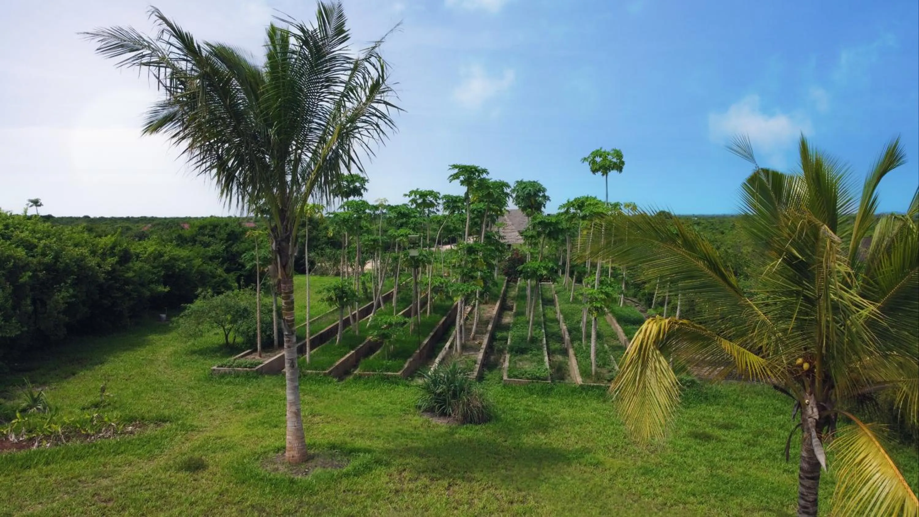 Natural landscape in Safira Blu Luxury Resort & Villas