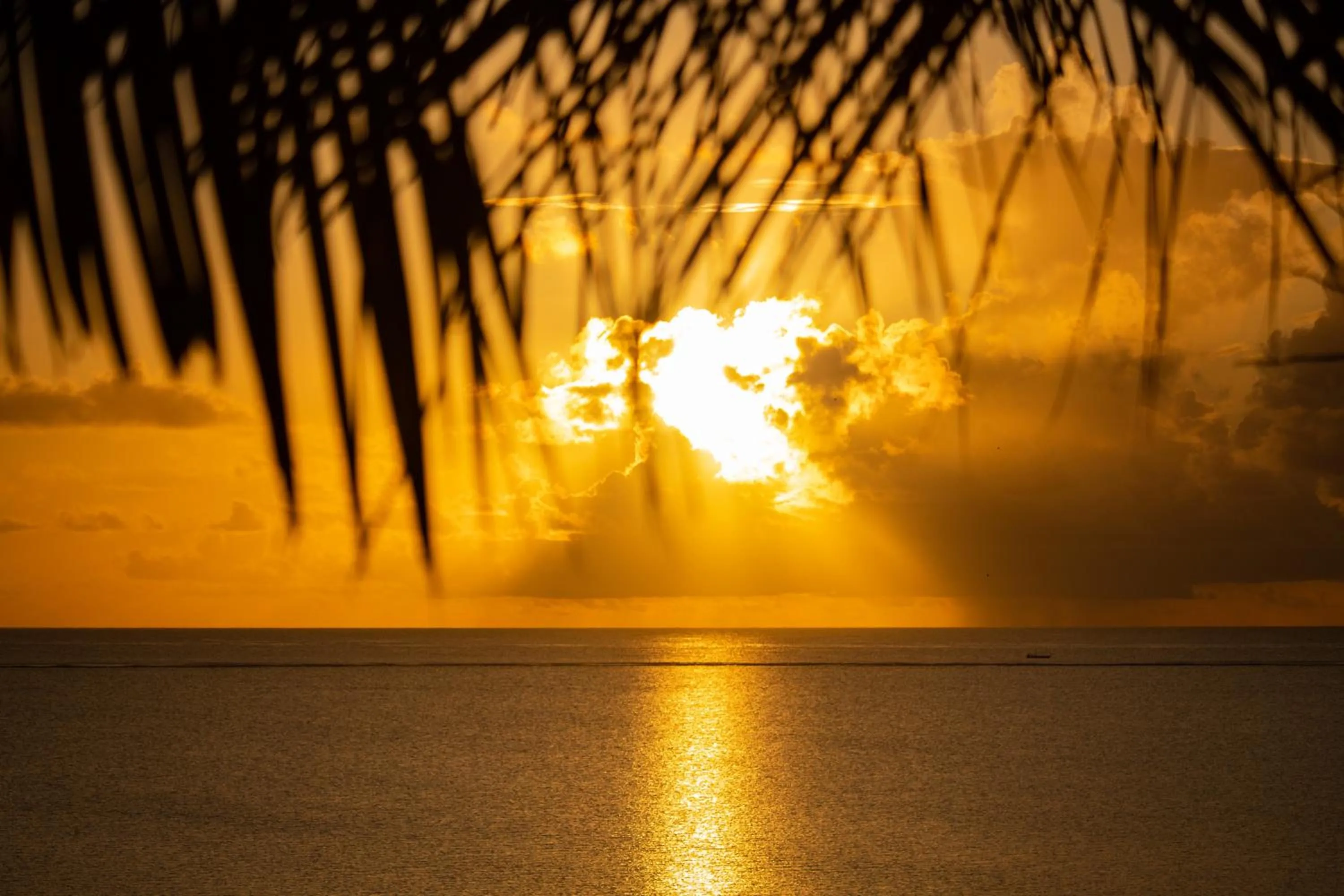 Natural landscape in Safira Blu Luxury Resort & Villas