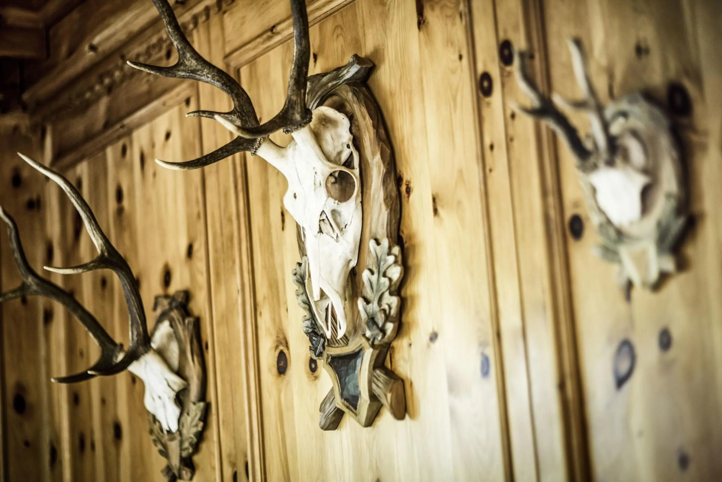 Decorative detail in Hotel Platz