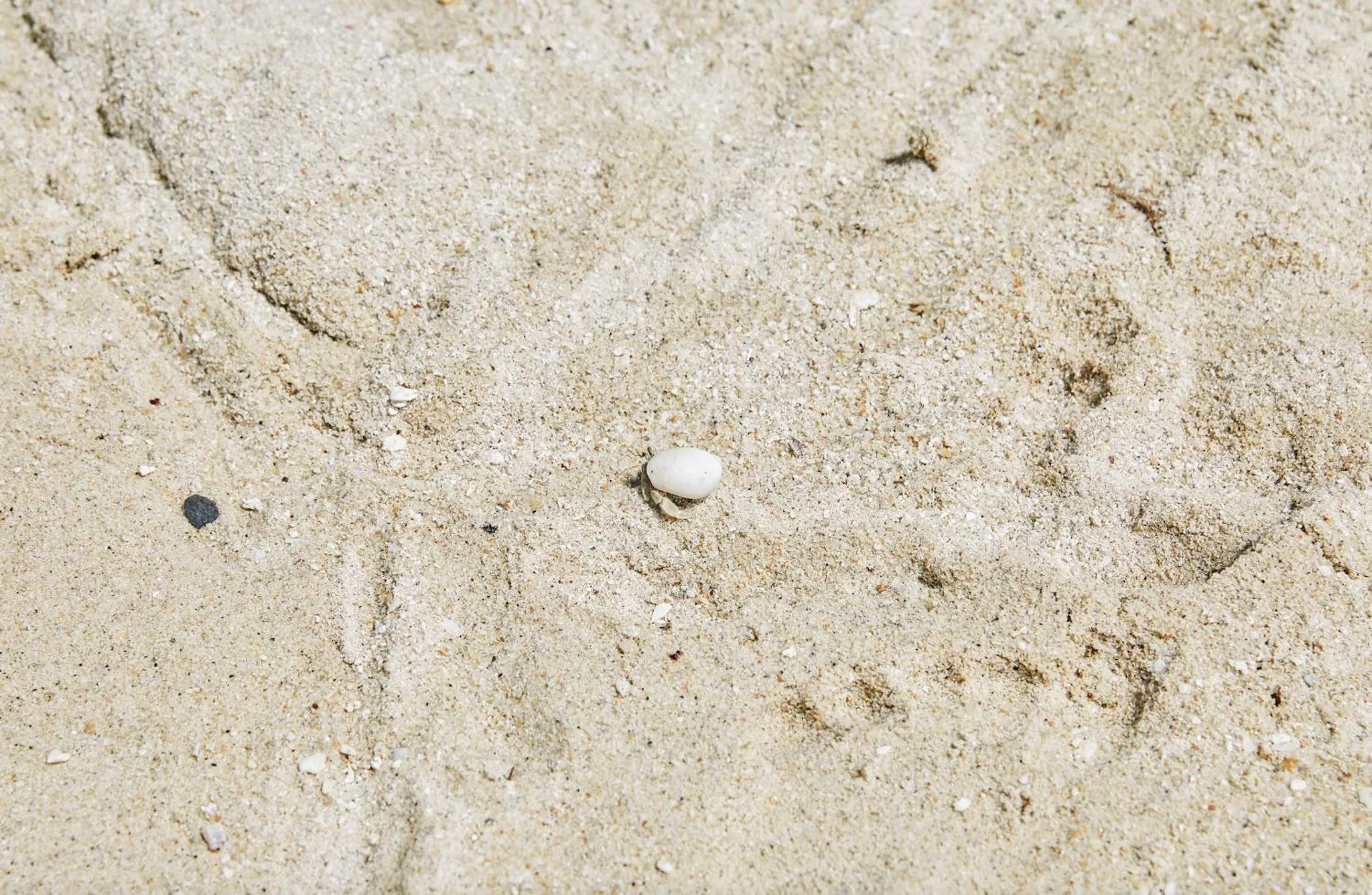 Natural landscape in Casa De Lipe