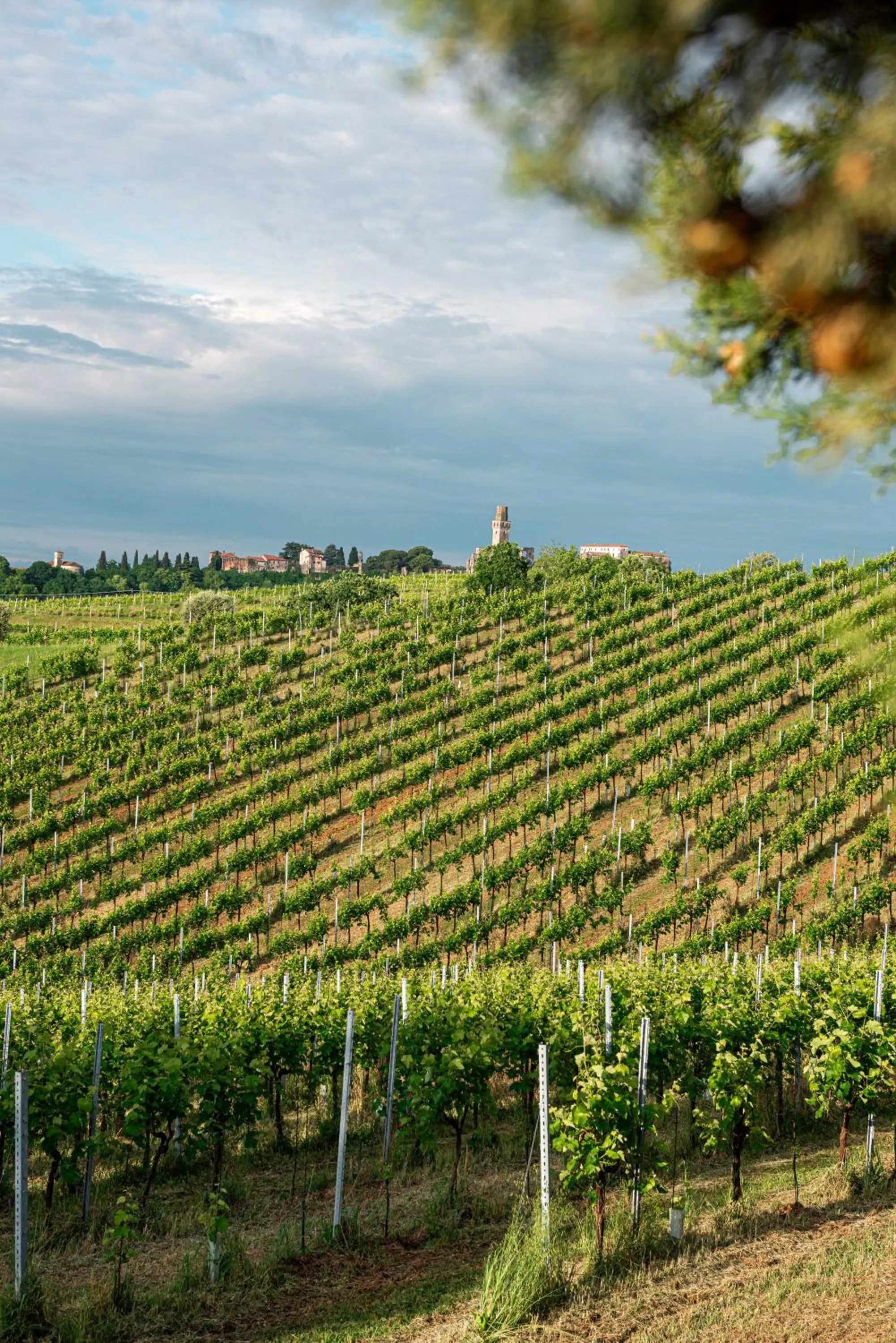 View (from property/room) in Phi Hotel Astoria