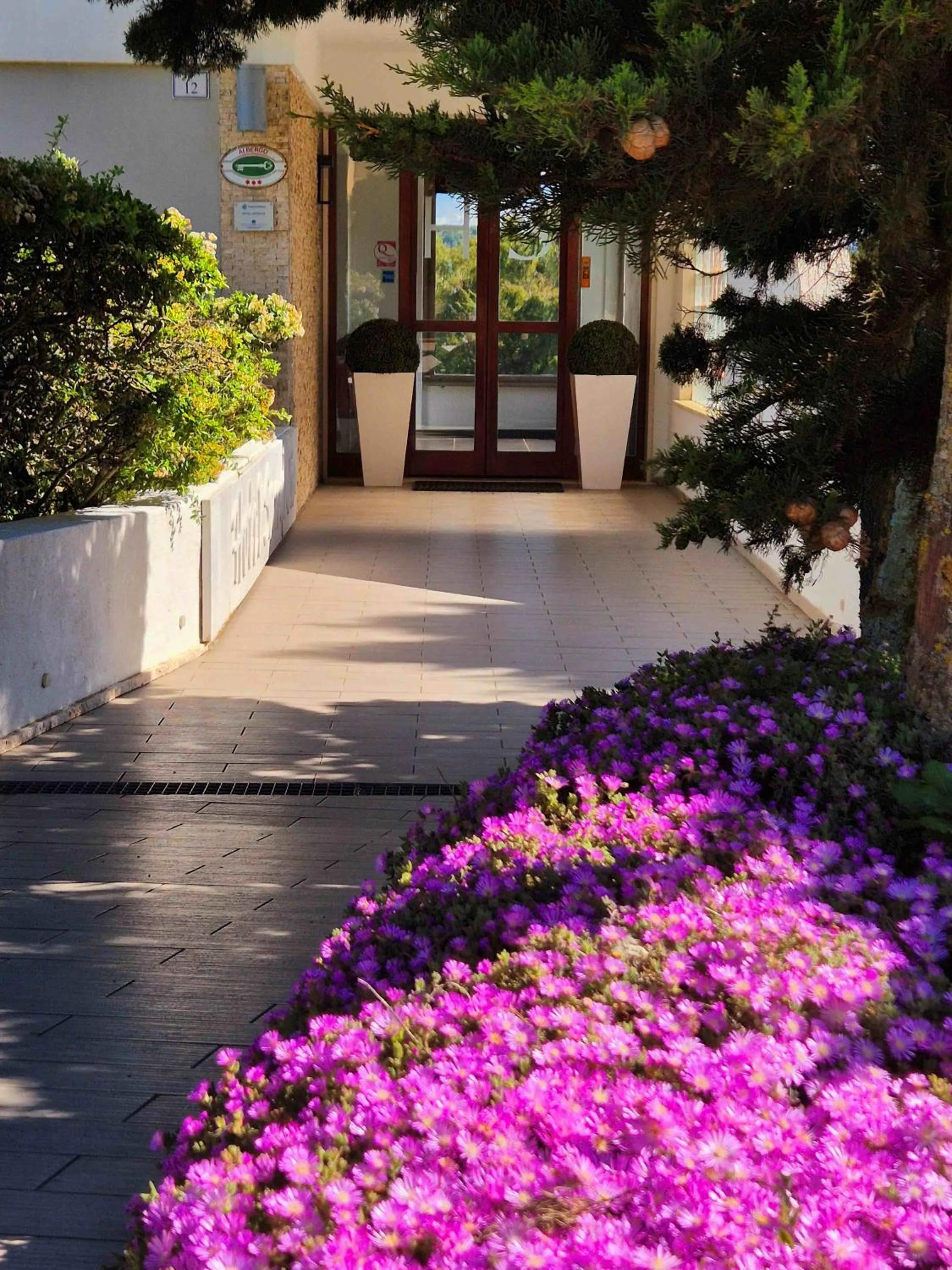 Property building in Hotel Sandalia