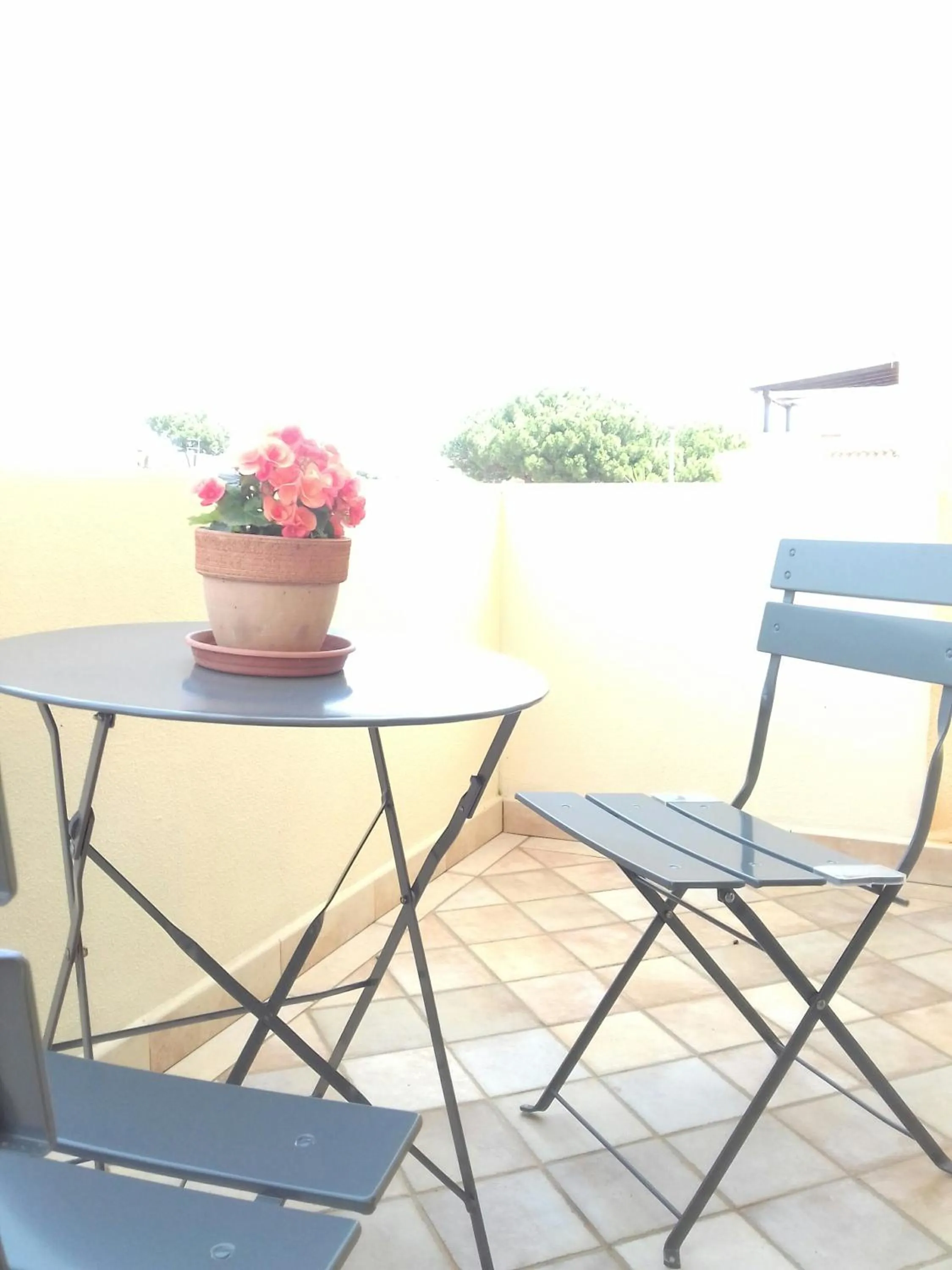 Balcony/Terrace in Castello Di Tavolara