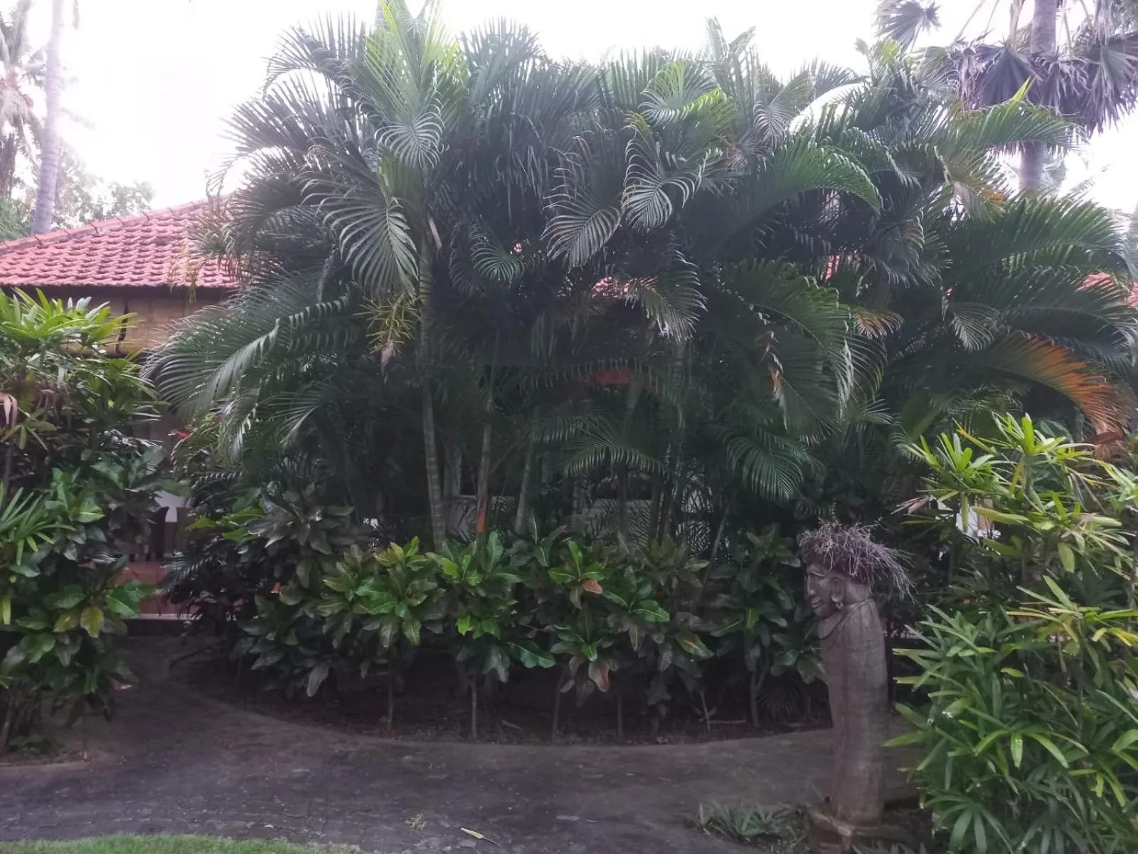 Garden in Bali North Beach B&B