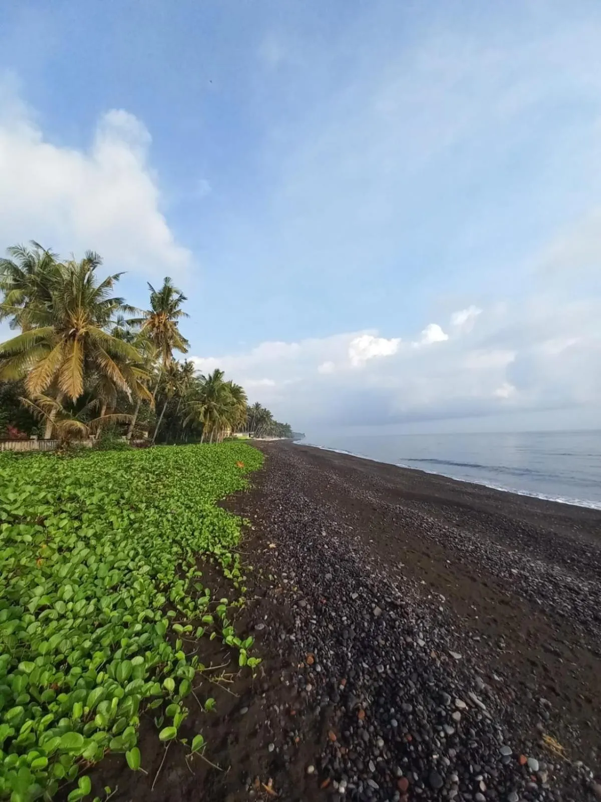 Natural landscape in Bali North Beach B&B