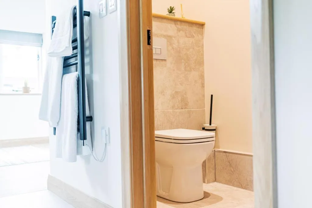 Toilet in The Blind Bull