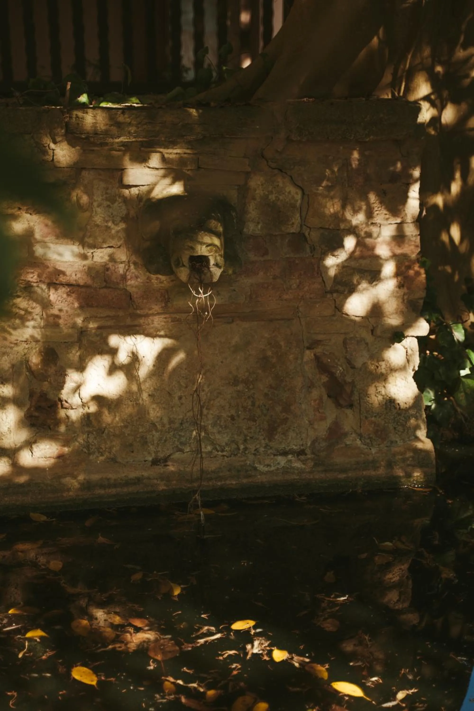 Rondaia, a Winery & Fincahotel-Agroturismo in Tramuntana