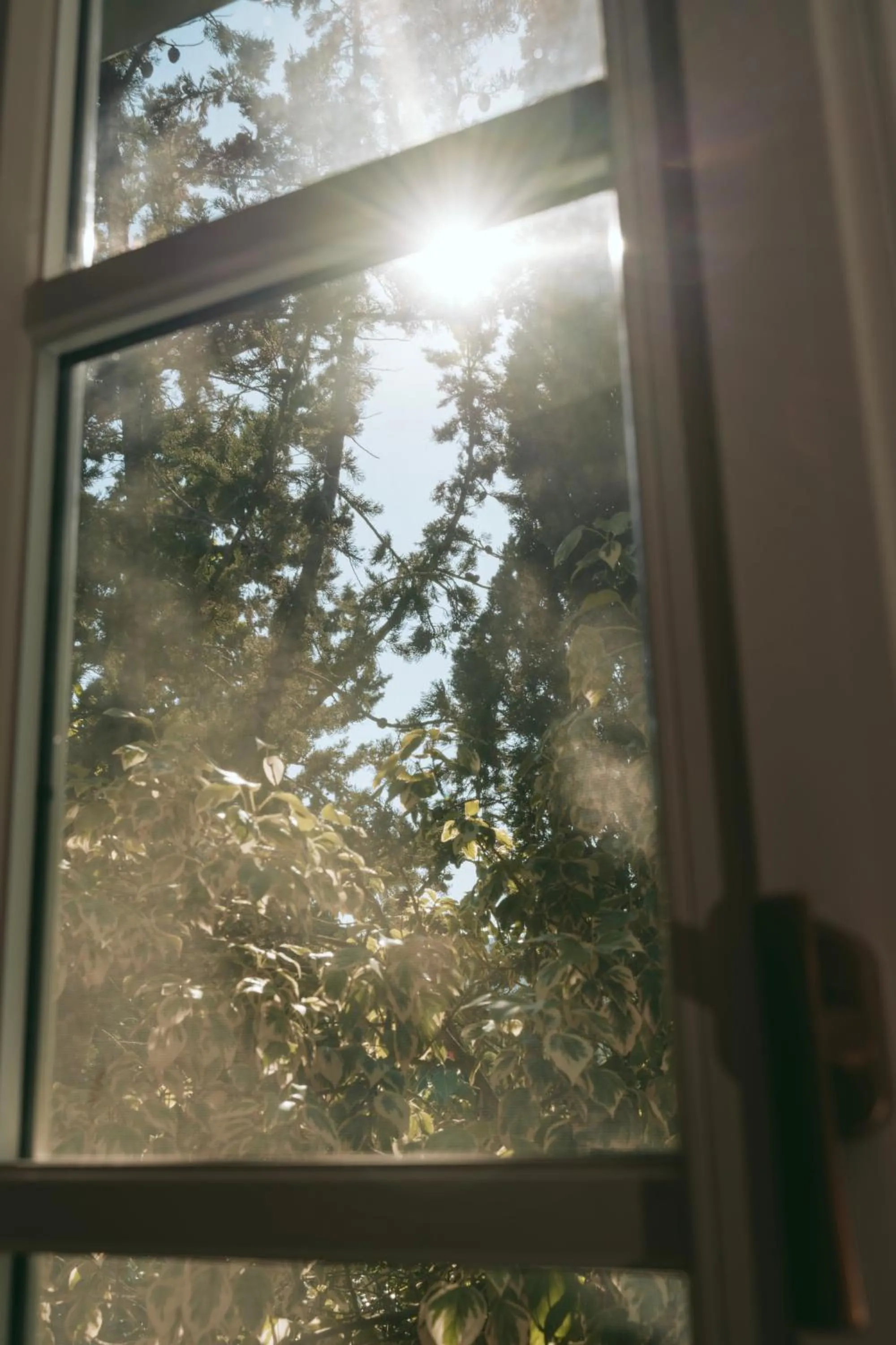 Rondaia, a Winery & Fincahotel-Agroturismo in Tramuntana