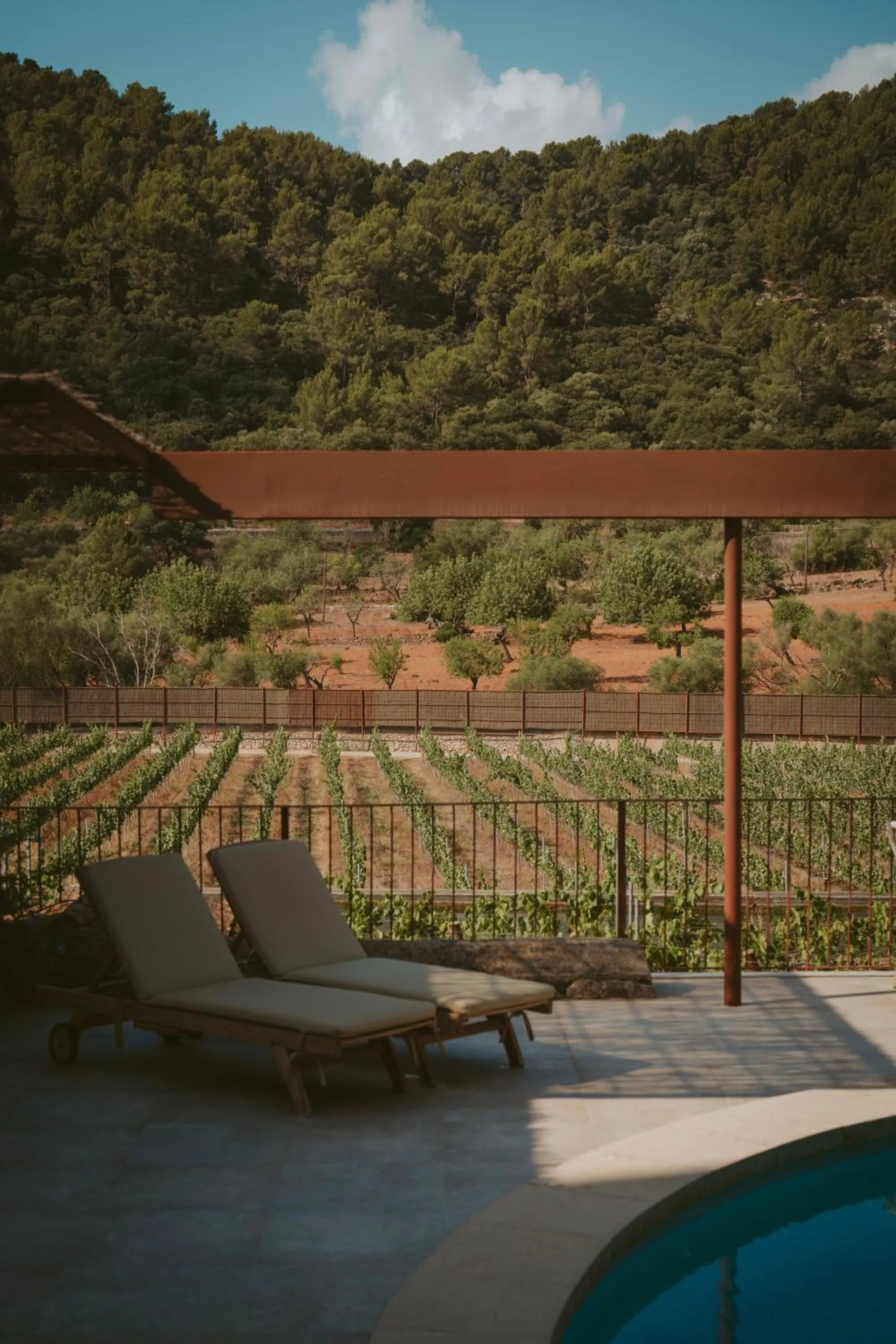 Swimming pool in Rondaia, a Winery & Fincahotel-Agroturismo in Tramuntana