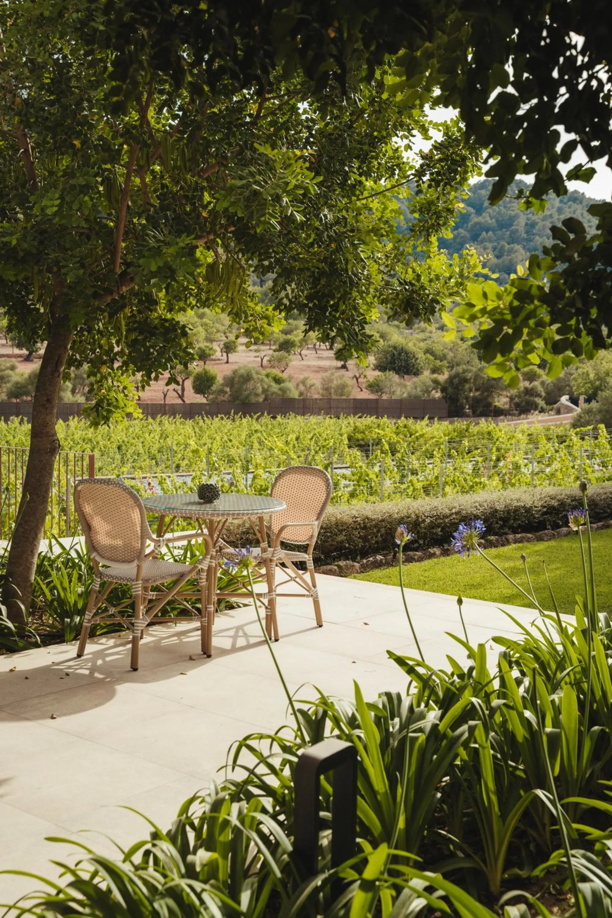 Rondaia, a Winery & Fincahotel-Agroturismo in Tramuntana