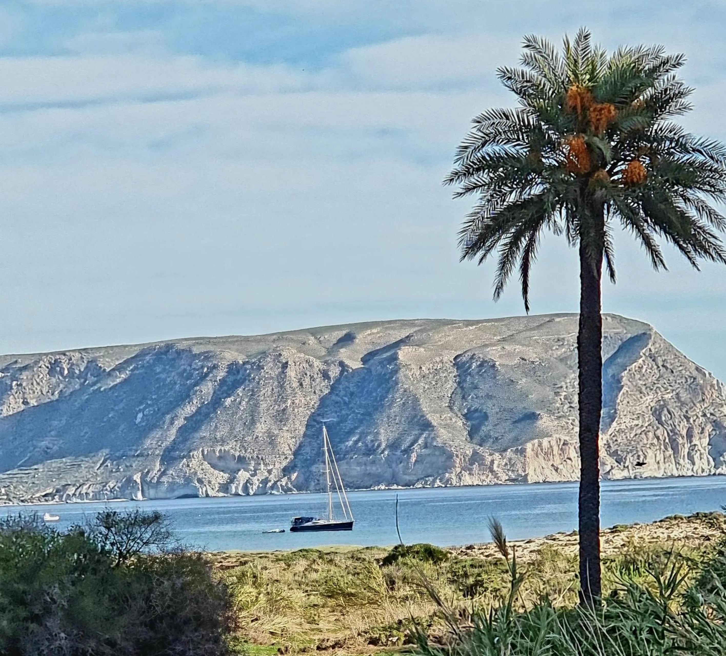 Spring in Casa Biank