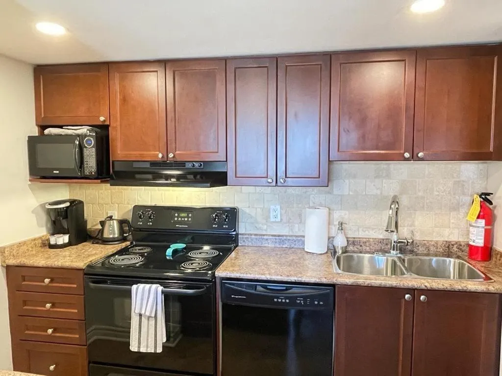 Modern Mountainside Ski In/Ski Out Studio at Blue